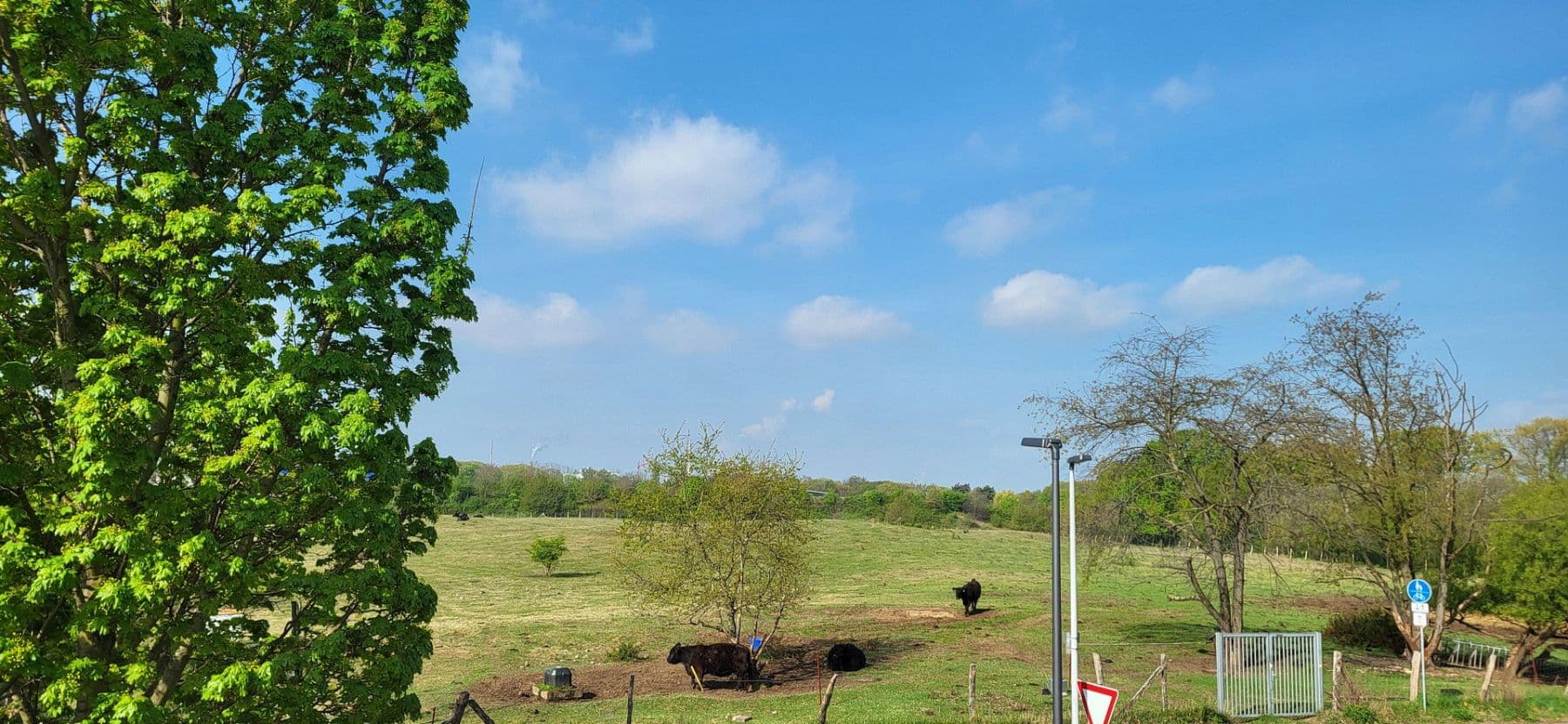 Predaj domu 135 m², pozemek 300 m², Leverkusen, Severné Porýnie - Westfálsko Predaj domu 135 m², pozemek 300 m², Leverkusen, Severné Porýnie - Westfálsko