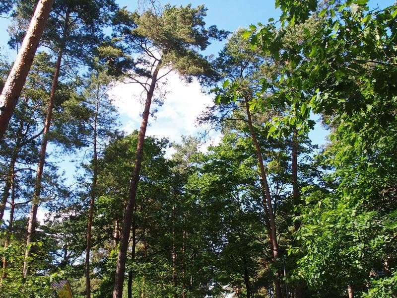 Predaj pozemku 1.073 m², Mühlenbecker Land, Brandenbursko Predaj pozemku 1.073 m², Mühlenbecker Land, Brandenbursko
