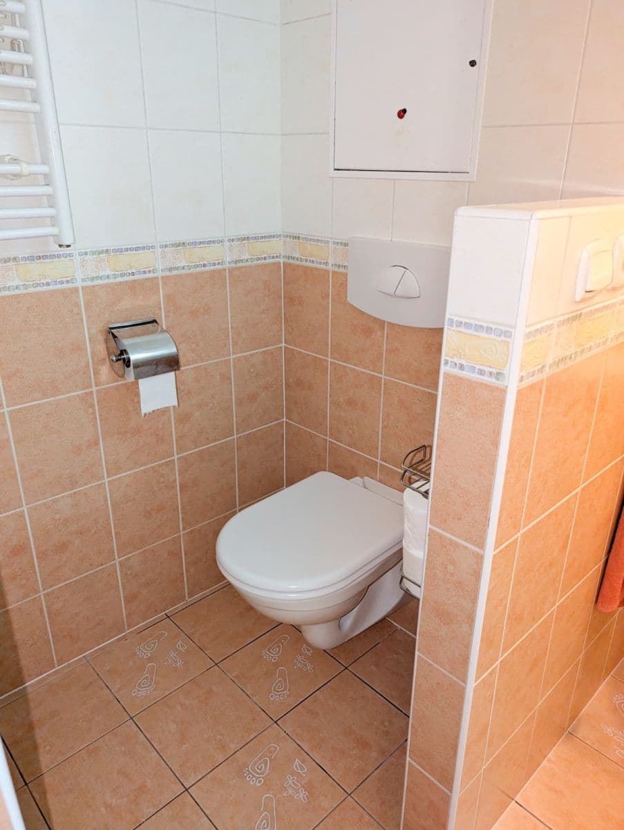 Prenájom bytu 3-izbový 79 m², Voskovcova, Praha, Praha Prenájom bytu 3-izbový 79 m², Voskovcova, Praha, Praha