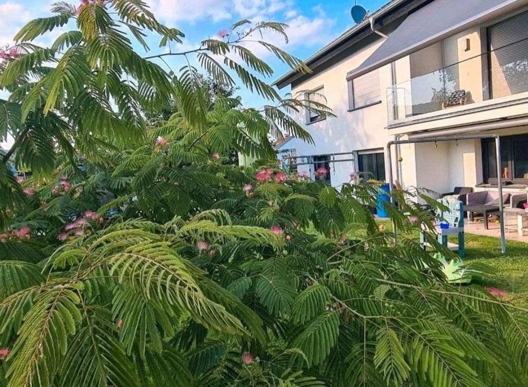 Predaj domu 200 m², pozemek 1.015 m², Freudenberg, Bádensko-Wurttembersko Predaj domu 200 m², pozemek 1.015 m², Freudenberg, Bádensko-Wurttembersko