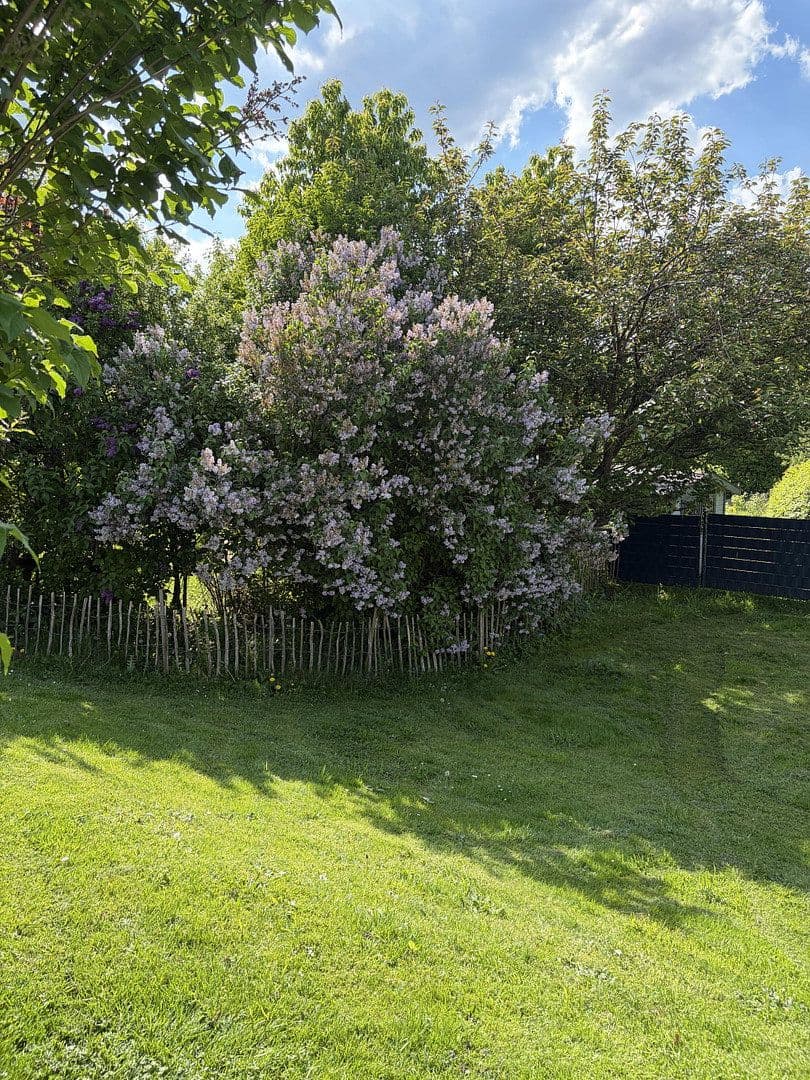 Predaj domu 170 m², pozemek 1.599 m², Wied, Porýnie-Falcko Predaj domu 170 m², pozemek 1.599 m², Wied, Porýnie-Falcko