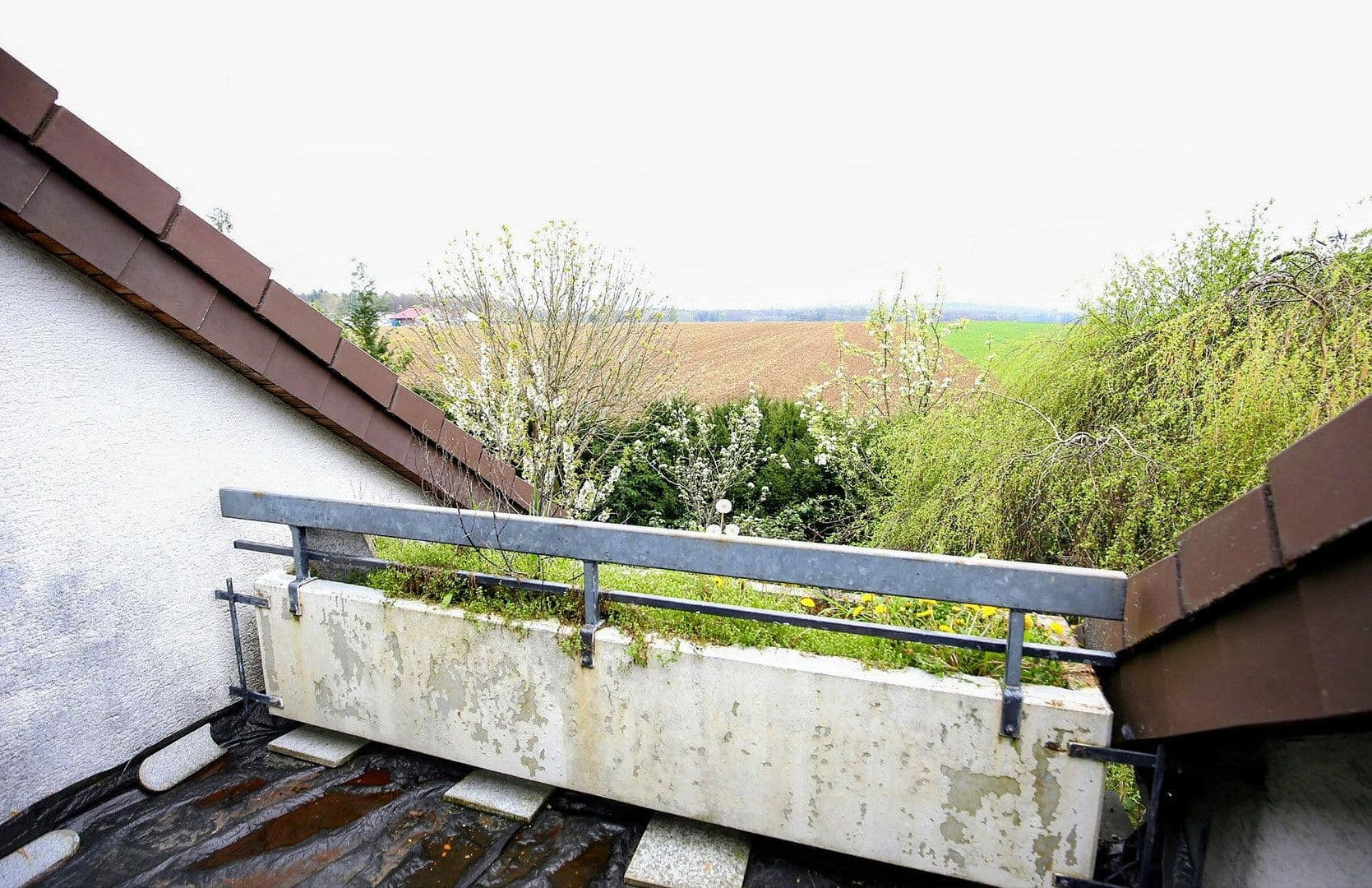Predaj domu 235 m², pozemek 577 m², Reutlingen, Bádensko-Wurttembersko Predaj domu 235 m², pozemek 577 m², Reutlingen, Bádensko-Wurttembersko