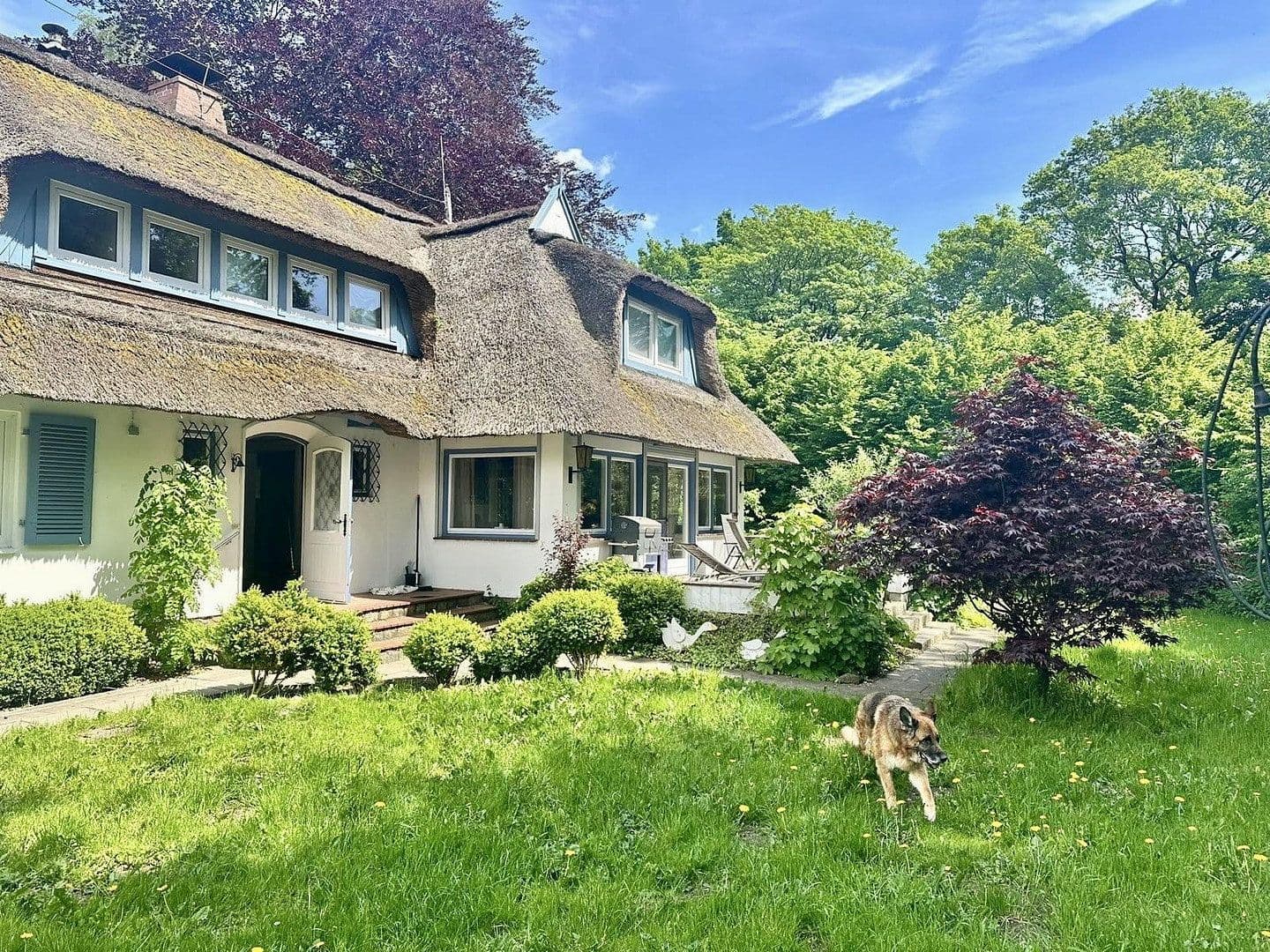 Predaj domu 169 m², pozemek 4.300 m², Vohrbek 2, Giekau, Šlezvicko-Holštajnsko Predaj domu 169 m², pozemek 4.300 m², Vohrbek 2, Giekau, Šlezvicko-Holštajnsko