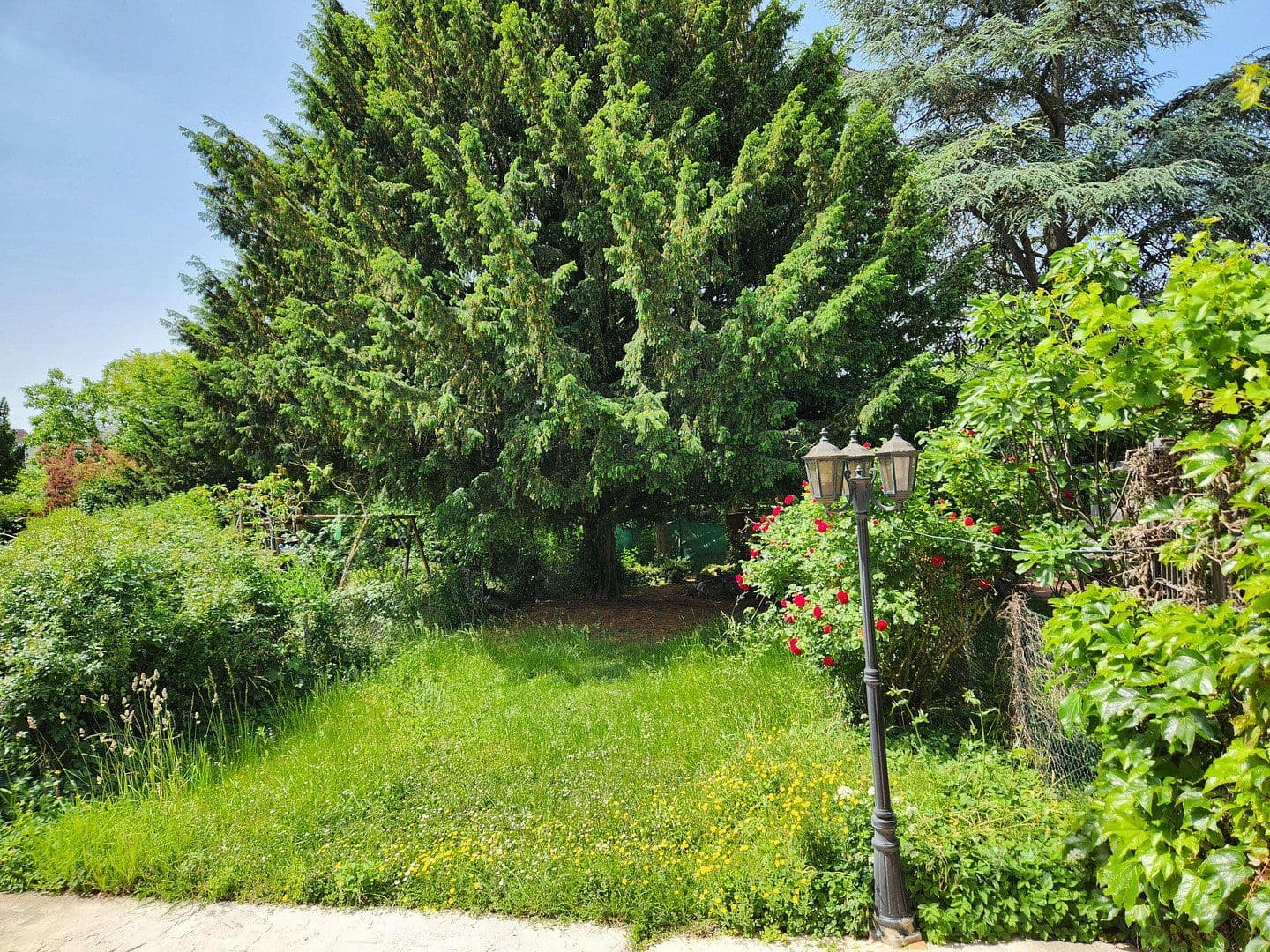 Prenájom domu 85 m², pozemek 254 m², Wiesbaden, Hesensko Prenájom domu 85 m², pozemek 254 m², Wiesbaden, Hesensko