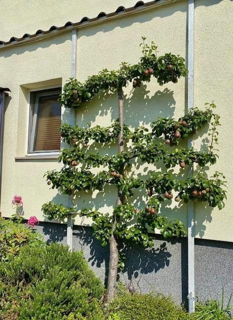 Predaj domu 900 m², pozemek 8.230 m², Luckau, Brandenbursko Predaj domu 900 m², pozemek 8.230 m², Luckau, Brandenbursko