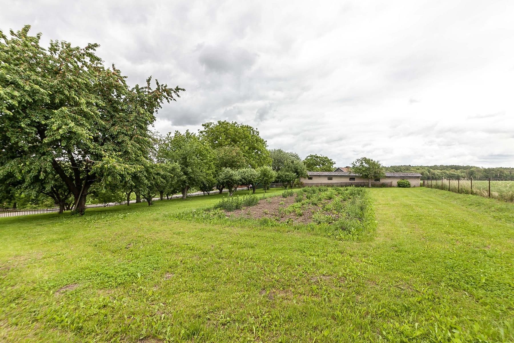 Predaj domu 196 m², pozemek 3.601 m², Běchary, Královéhradecký kraj Predaj domu 196 m², pozemek 3.601 m², Běchary, Královéhradecký kraj