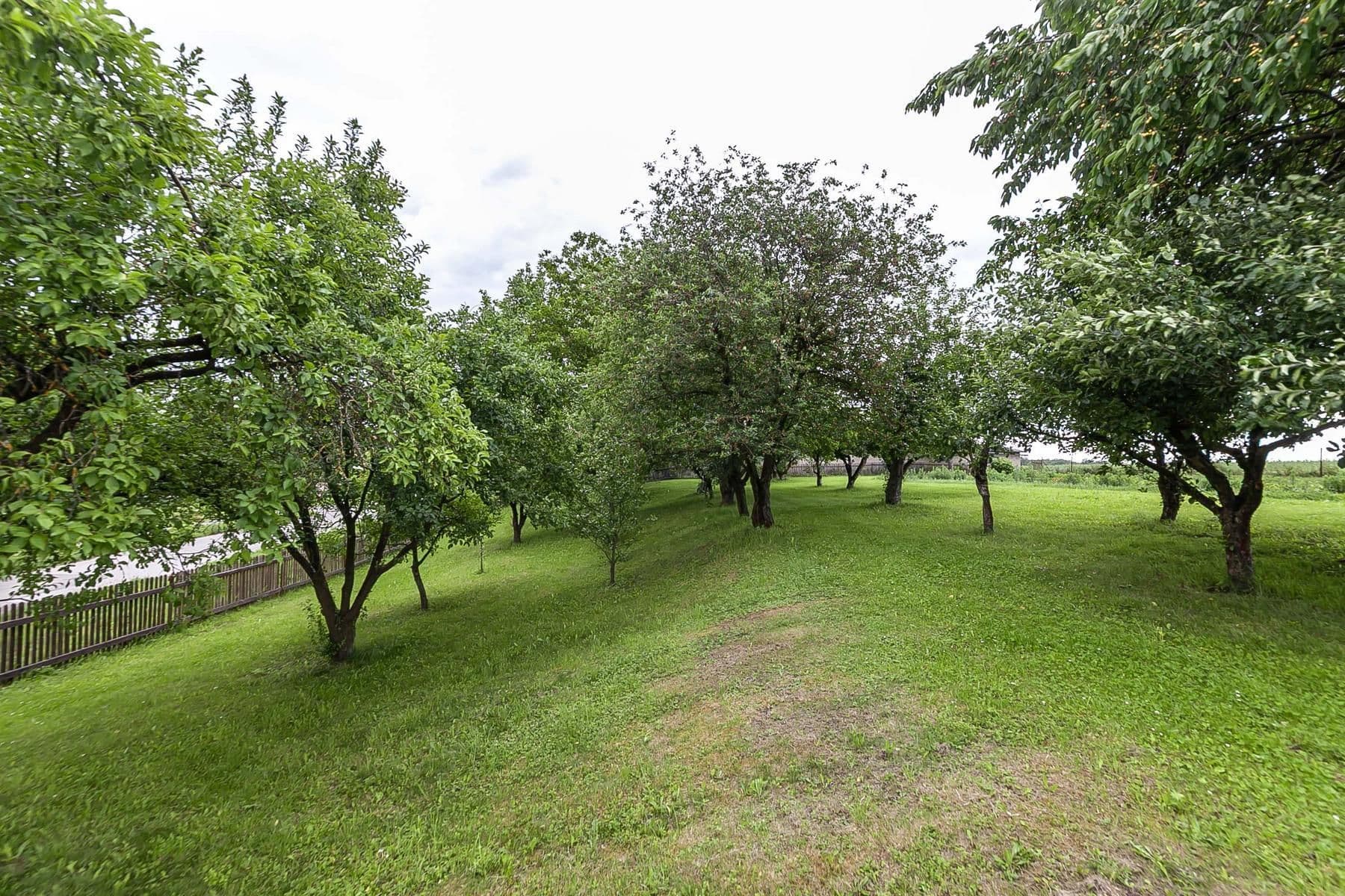Predaj domu 196 m², pozemek 3.601 m², Běchary, Královéhradecký kraj Predaj domu 196 m², pozemek 3.601 m², Běchary, Královéhradecký kraj