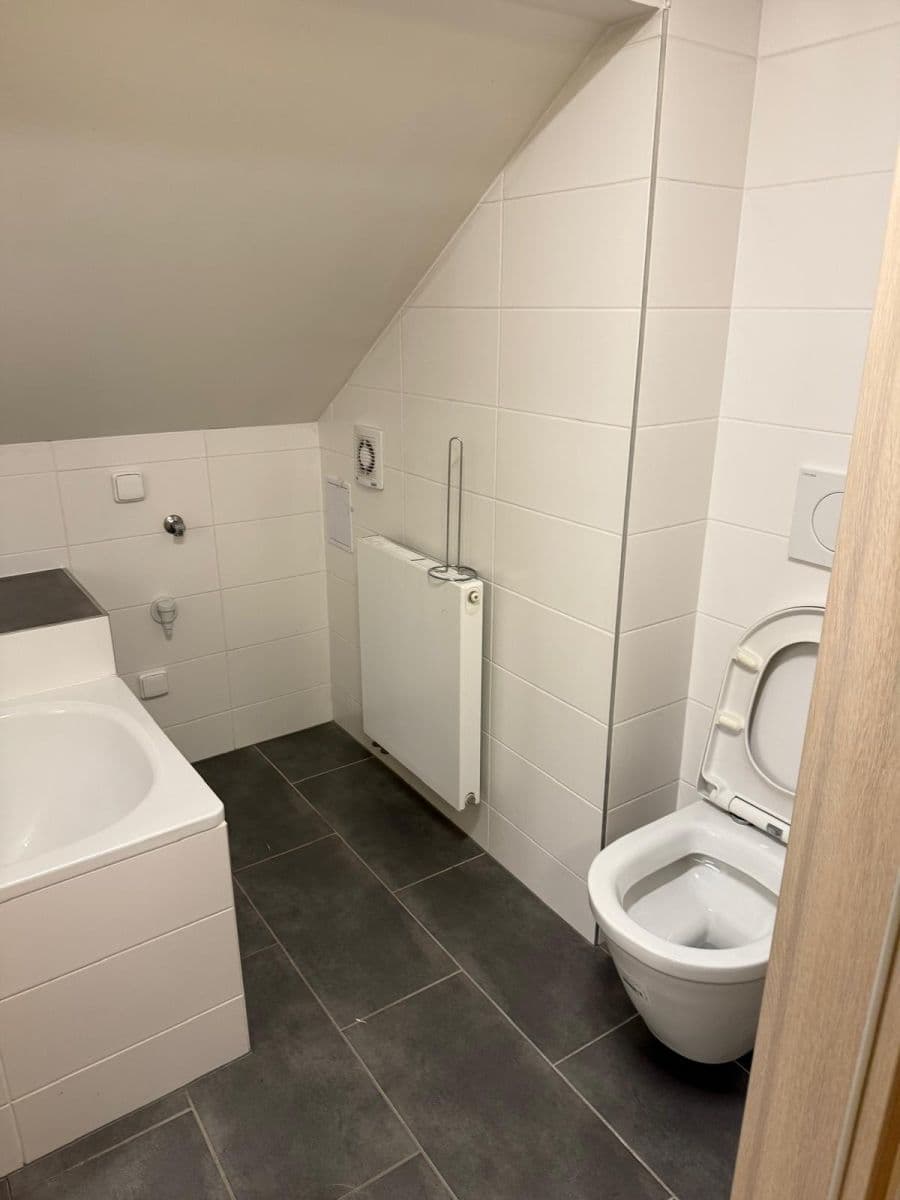 Prenájom bytu 1-izbový 30 m², Kosova, Praha, Praha Prenájom bytu 1-izbový 30 m², Kosova, Praha, Praha