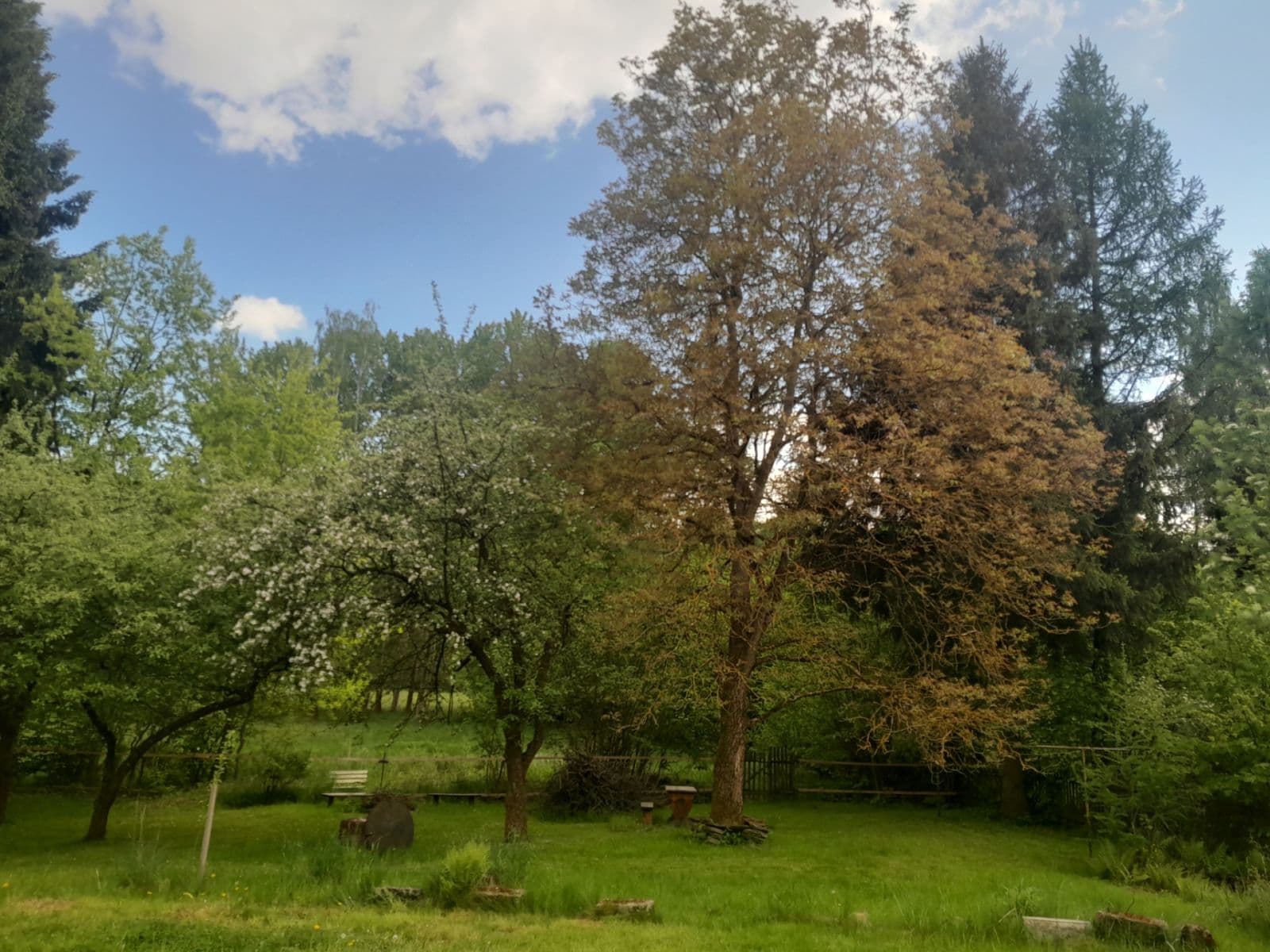 Predaj domu 160 m², pozemok 3.600 m², Chřibská, Ústecký kraj Predaj domu 160 m², pozemok 3.600 m², Chřibská, Ústecký kraj