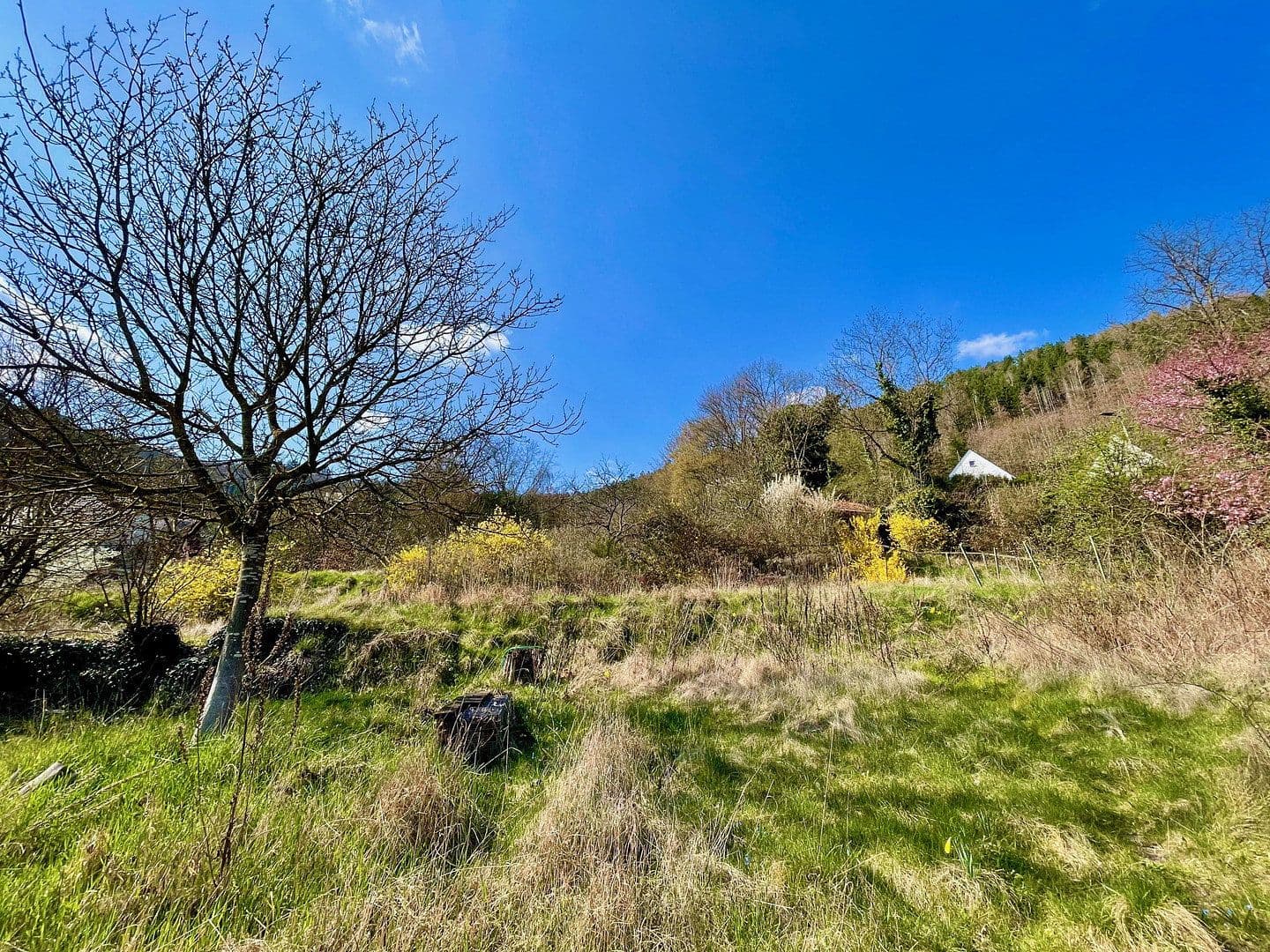 Predaj bytu 5-izbový 140 m², Talstr. 71, Frankeneck, Porýnie-Falcko Predaj bytu 5-izbový 140 m², Talstr. 71, Frankeneck, Porýnie-Falcko