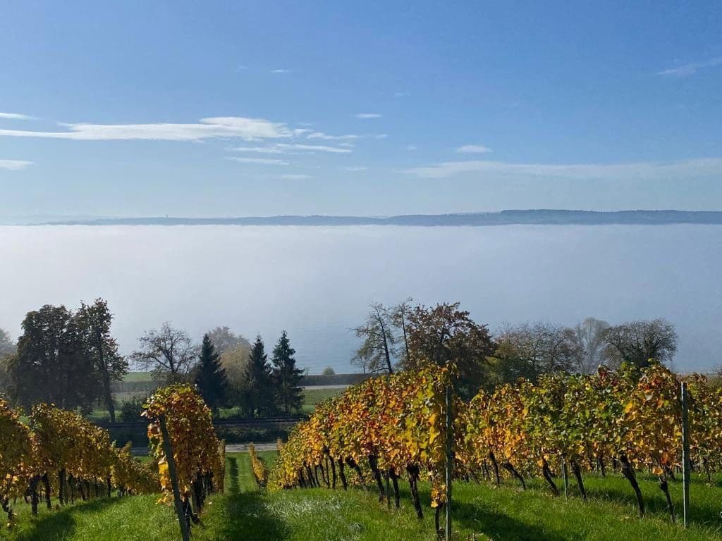 Prenájom bytu 2-izbový 55 m², August-Beckh-Weg 7, Friedrichshafen, Bádensko-Wurttembersko Prenájom bytu 2-izbový 55 m², August-Beckh-Weg 7, Friedrichshafen, Bádensko-Wurttembersko