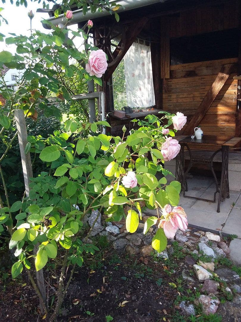 Predaj domu 144 m², pozemek 1.472 m², Kreßberg, Bádensko-Wurttembersko Predaj domu 144 m², pozemek 1.472 m², Kreßberg, Bádensko-Wurttembersko
