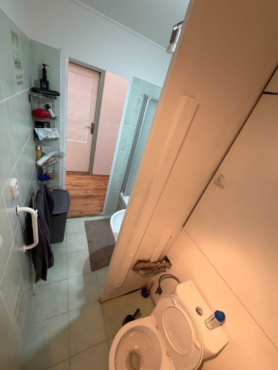 Prenájom bytu 1-izbový 44 m², Rerychova, Brno, Jihomoravský kraj Prenájom bytu 1-izbový 44 m², Rerychova, Brno, Jihomoravský kraj