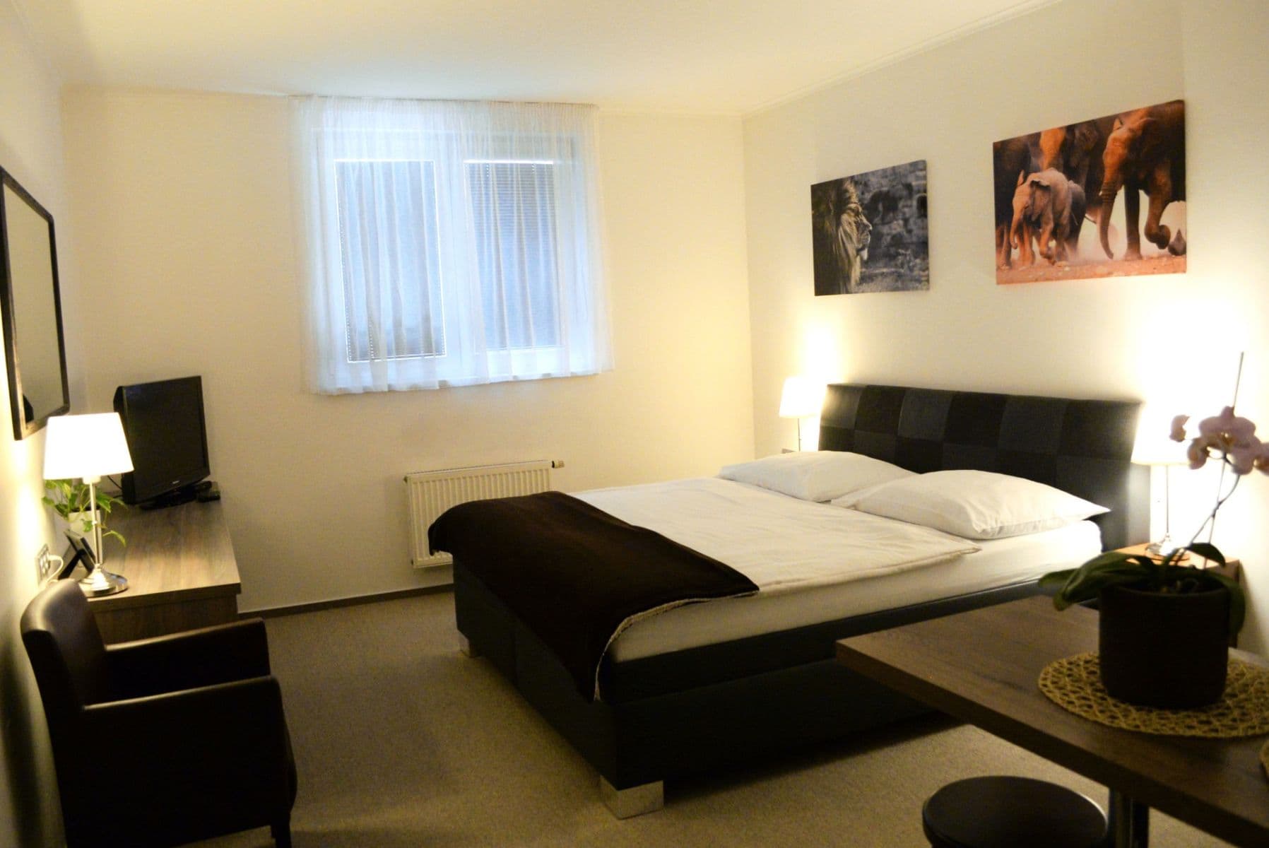 Prenájom bytu 1-izbový 23 m², Letců, Olomouc, Olomoucký kraj Prenájom bytu 1-izbový 23 m², Letců, Olomouc, Olomoucký kraj