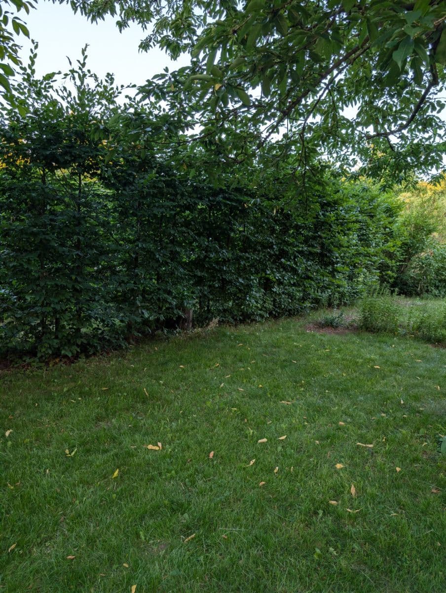 Predaj rekreačného objektu 20 m², pozemek 400 m², Rousínovská, Praha, Praha Predaj rekreačného objektu 20 m², pozemek 400 m², Rousínovská, Praha, Praha