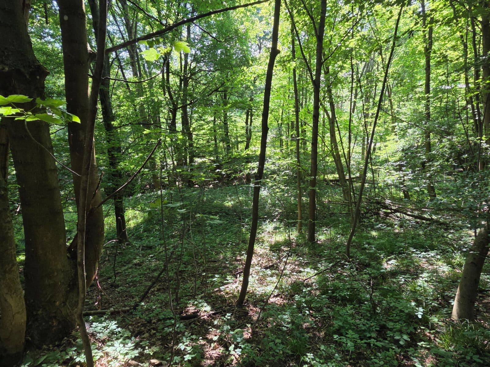 Predaj pozemku 1.881 m², Brestovec, Trenčiansky kraj Predaj pozemku 1.881 m², Brestovec, Trenčiansky kraj