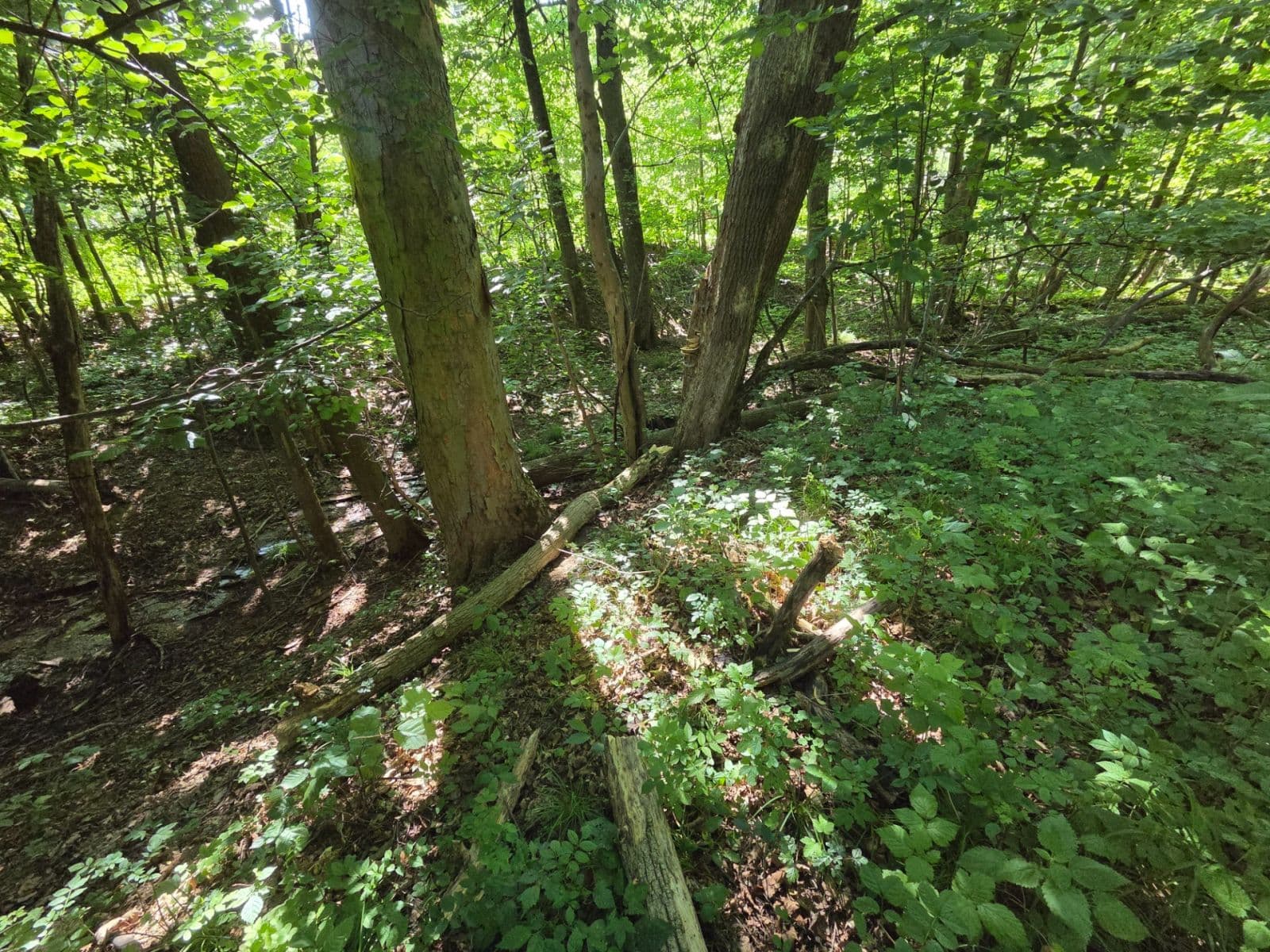 Predaj pozemku 1.881 m², Brestovec, Trenčiansky kraj Predaj pozemku 1.881 m², Brestovec, Trenčiansky kraj