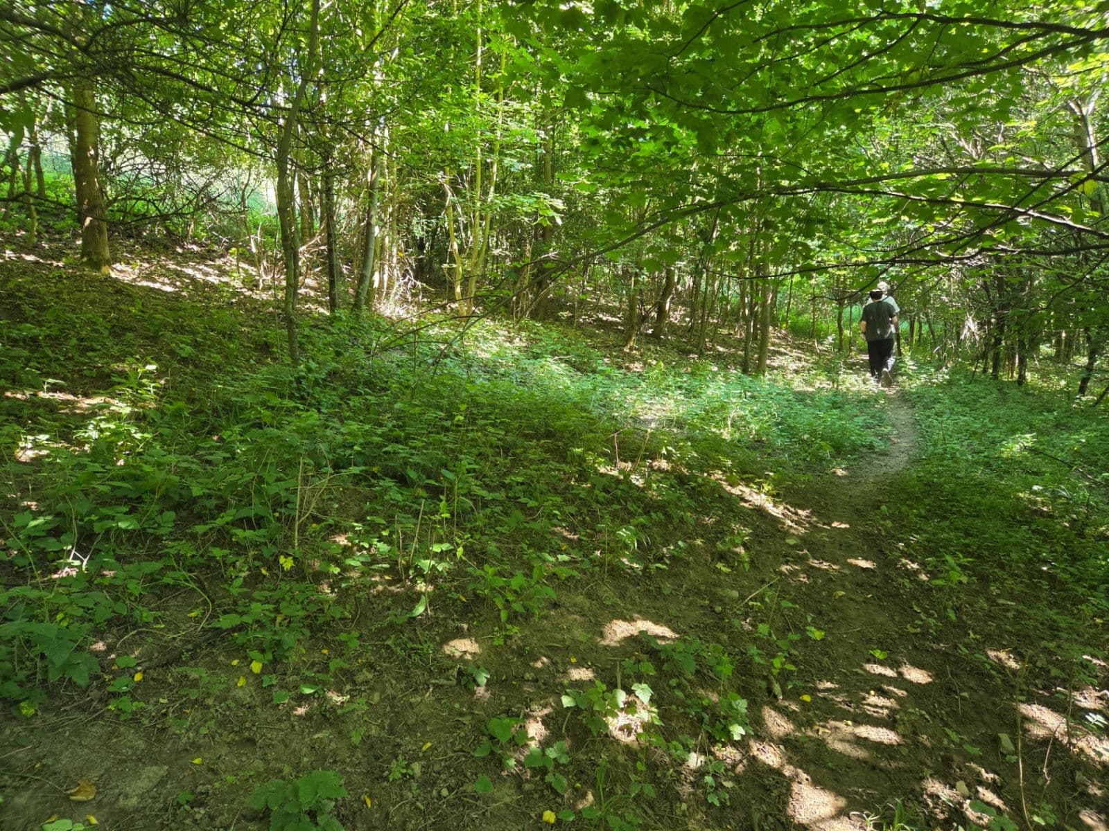 Predaj pozemku 1.881 m², Brestovec, Trenčiansky kraj Predaj pozemku 1.881 m², Brestovec, Trenčiansky kraj