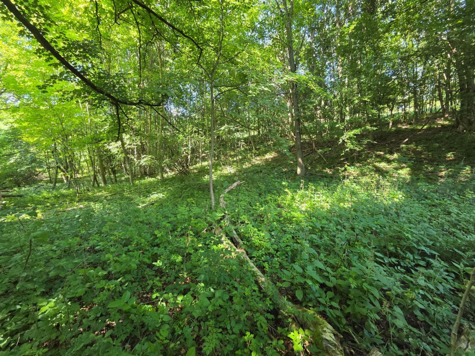 Predaj pozemku 1.881 m², Brestovec, Trenčiansky kraj Predaj pozemku 1.881 m², Brestovec, Trenčiansky kraj