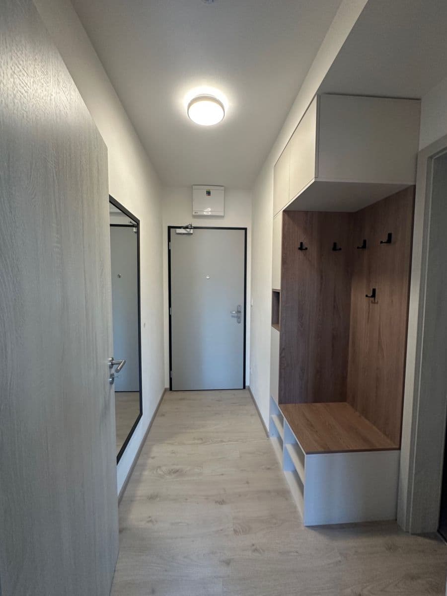 Prenájom bytu 2-izbový 64 m², Křižíkova, Brno, Jihomoravský kraj Prenájom bytu 2-izbový 64 m², Křižíkova, Brno, Jihomoravský kraj