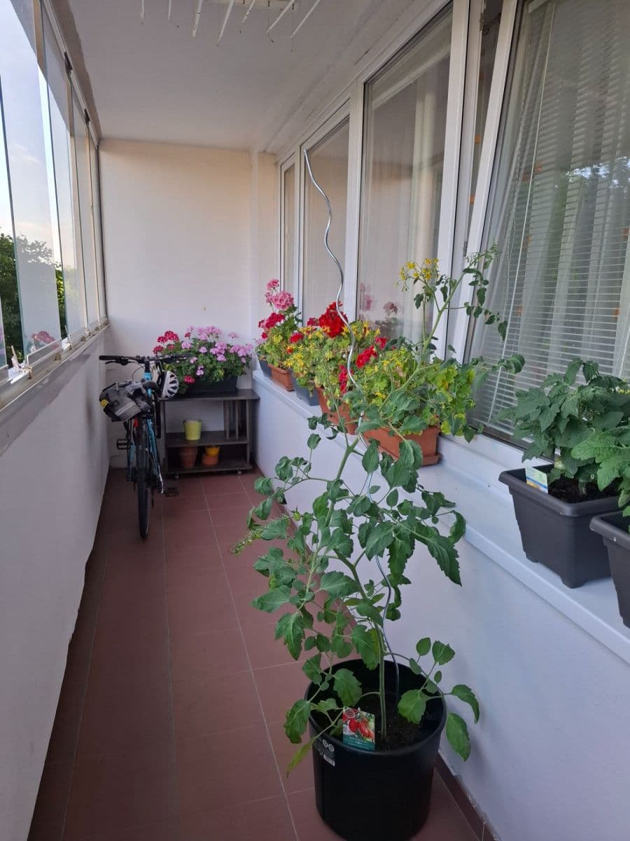 Predaj bytu 3-izbový 68 m², Jílovská, Praha, Praha Predaj bytu 3-izbový 68 m², Jílovská, Praha, Praha