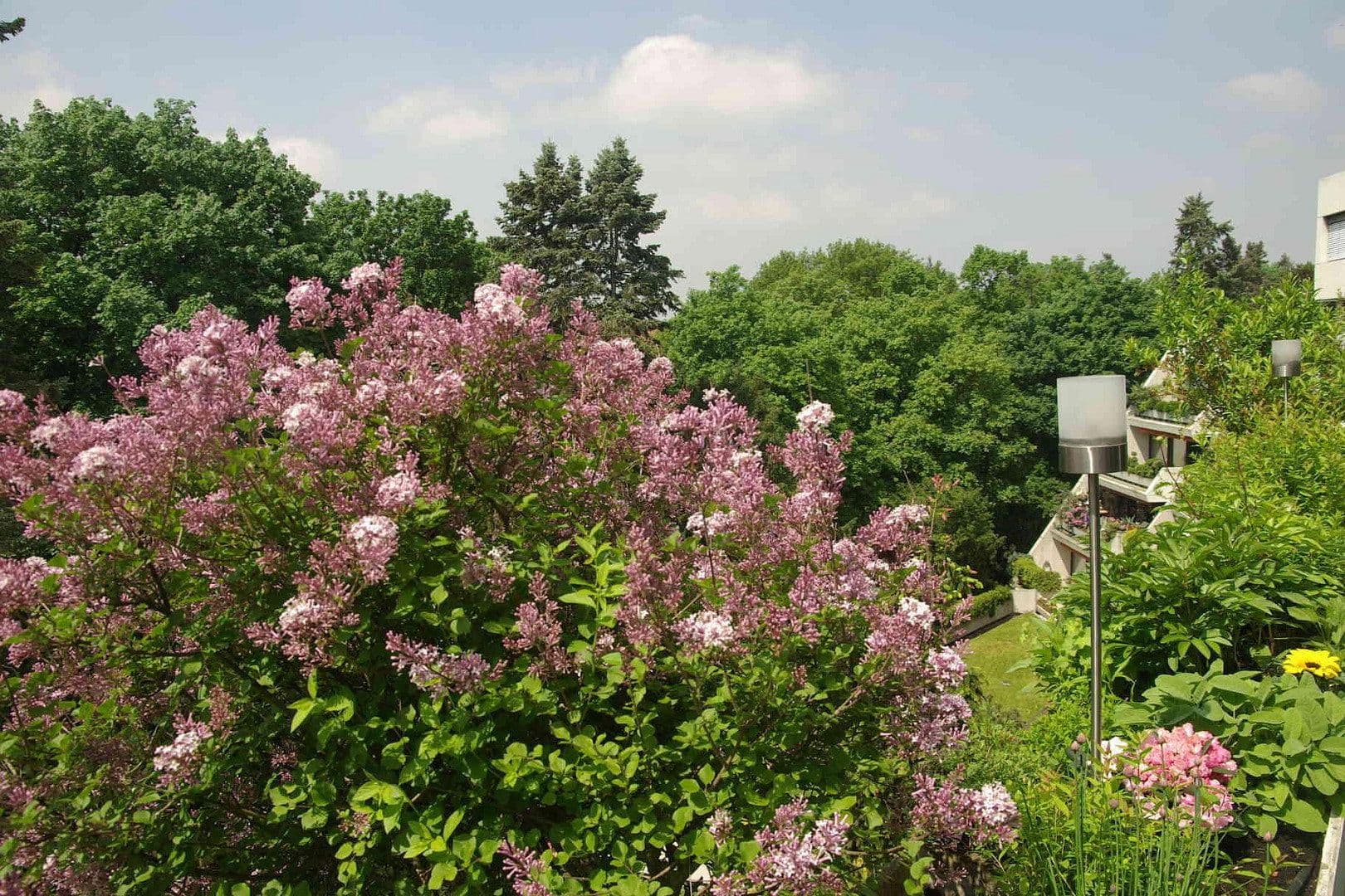 Prenájom bytu 3-izbový 190 m², Virchowstrasse, 9, Nürnberg, Bavorsko Prenájom bytu 3-izbový 190 m², Virchowstrasse, 9, Nürnberg, Bavorsko