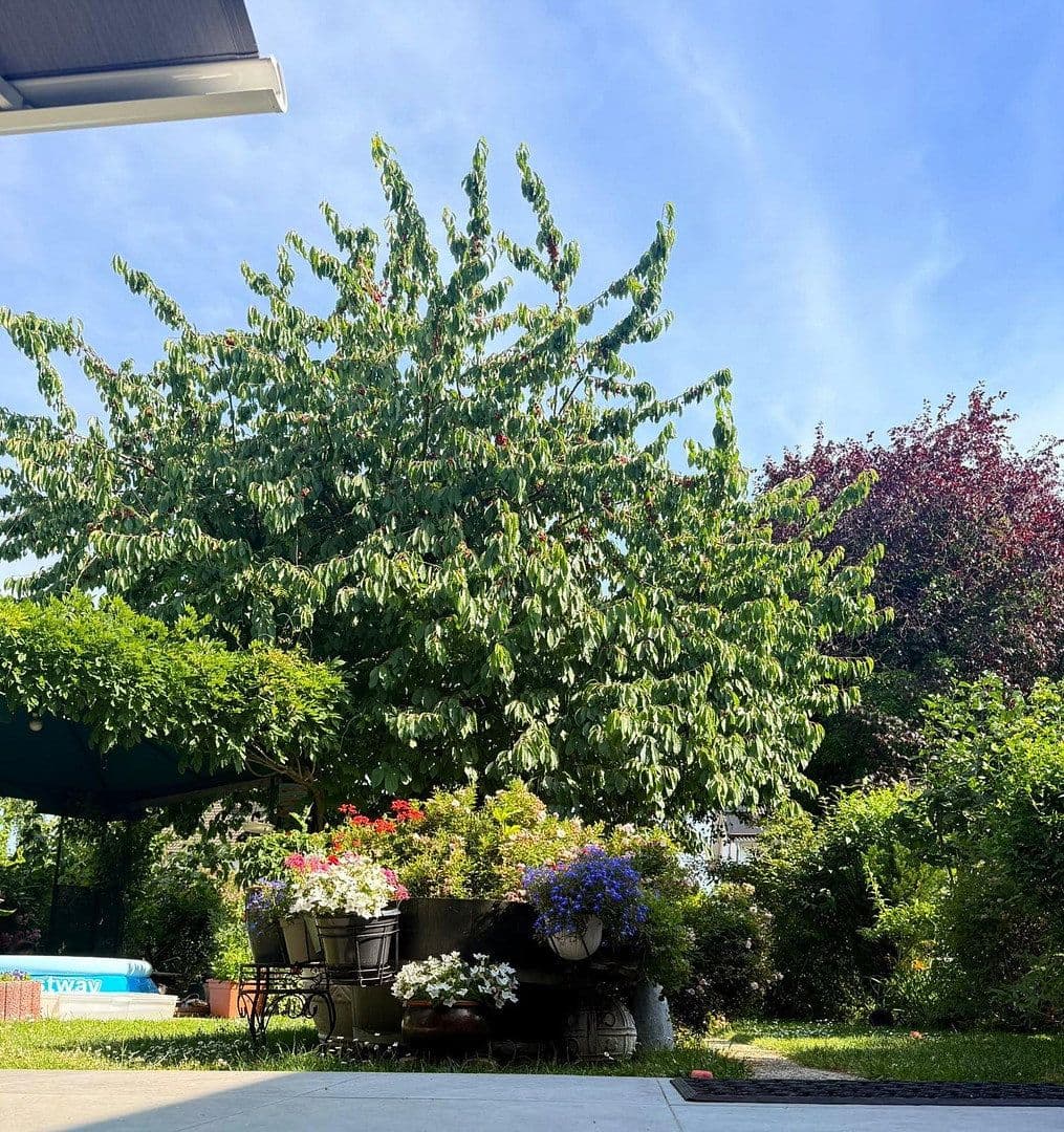 Predaj domu 94 m², pozemek 464 m², Köln, Severné Porýnie - Westfálsko Predaj domu 94 m², pozemek 464 m², Köln, Severné Porýnie - Westfálsko