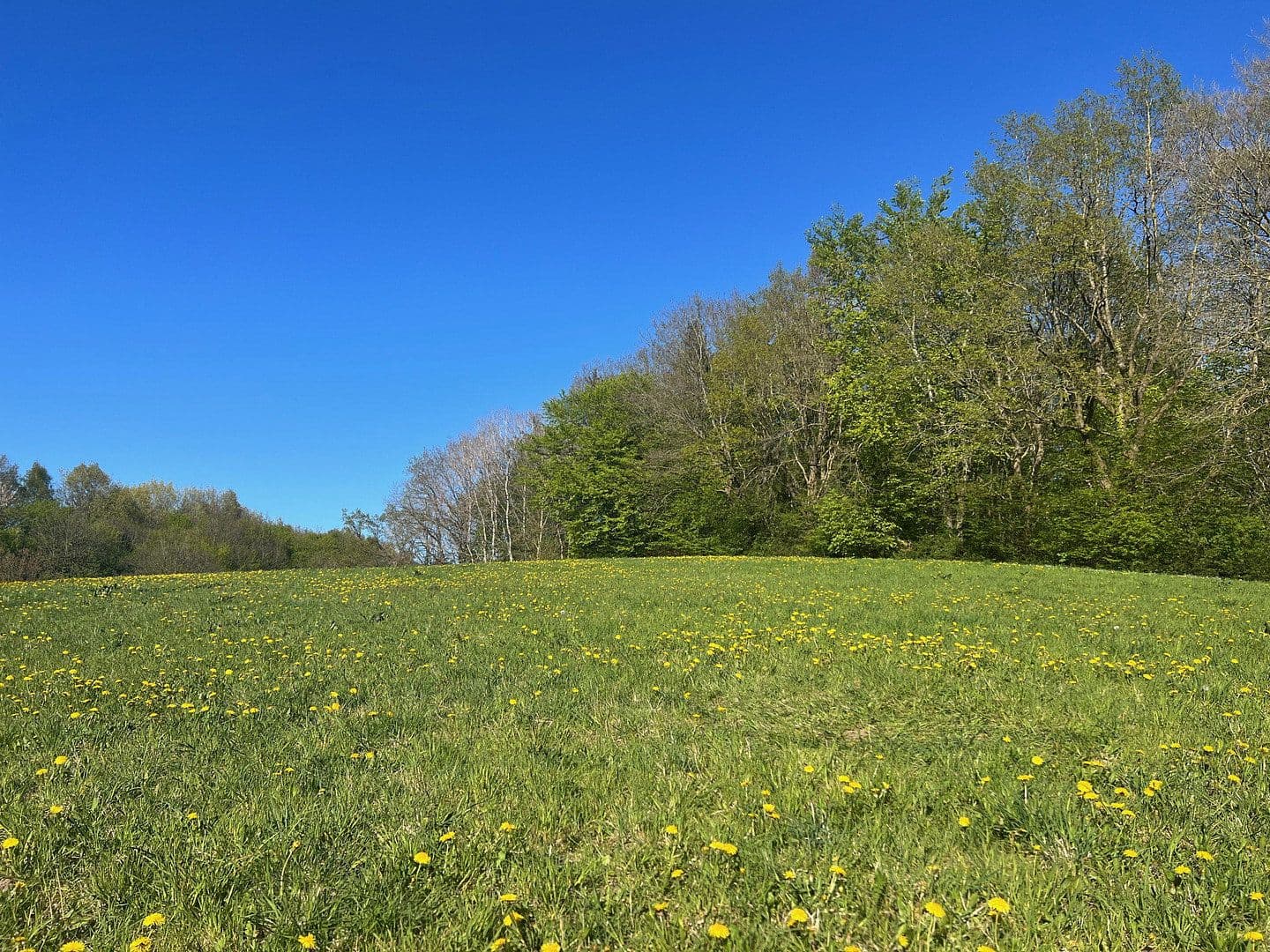 Prenájom domu 138 m², pozemek 192 m², Kiel, Šlezvicko-Holštajnsko Prenájom domu 138 m², pozemek 192 m², Kiel, Šlezvicko-Holštajnsko