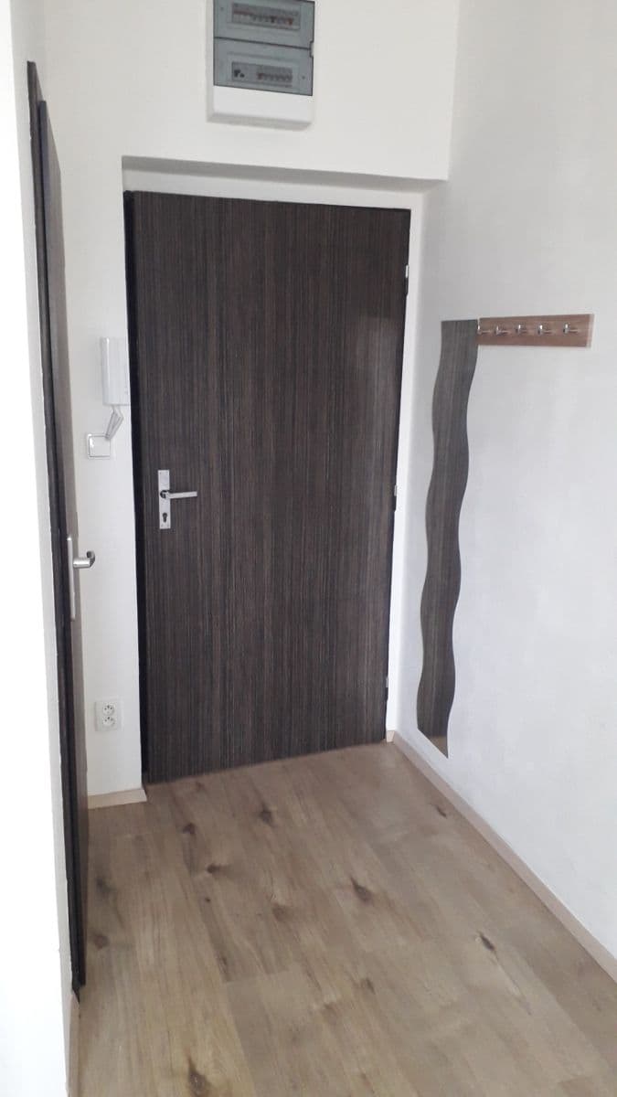 Prenájom bytu Garsoniéra 20 m², Husova tř., České Budějovice, Jihočeský kraj Prenájom bytu Garsoniéra 20 m², Husova tř., České Budějovice, Jihočeský kraj