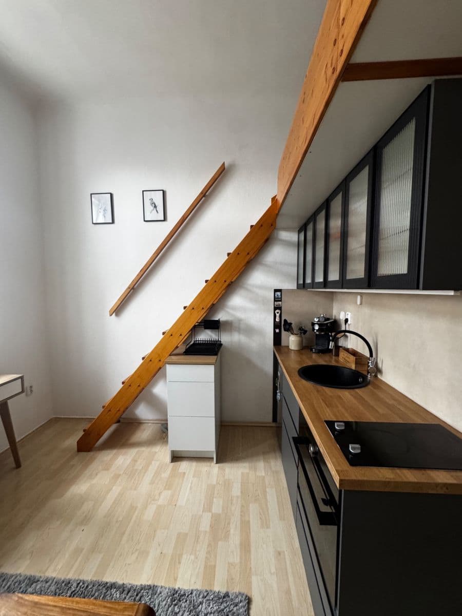 Prenájom bytu 1-izbový 19 m², Na Žertvách, Praha, Praha Prenájom bytu 1-izbový 19 m², Na Žertvách, Praha, Praha