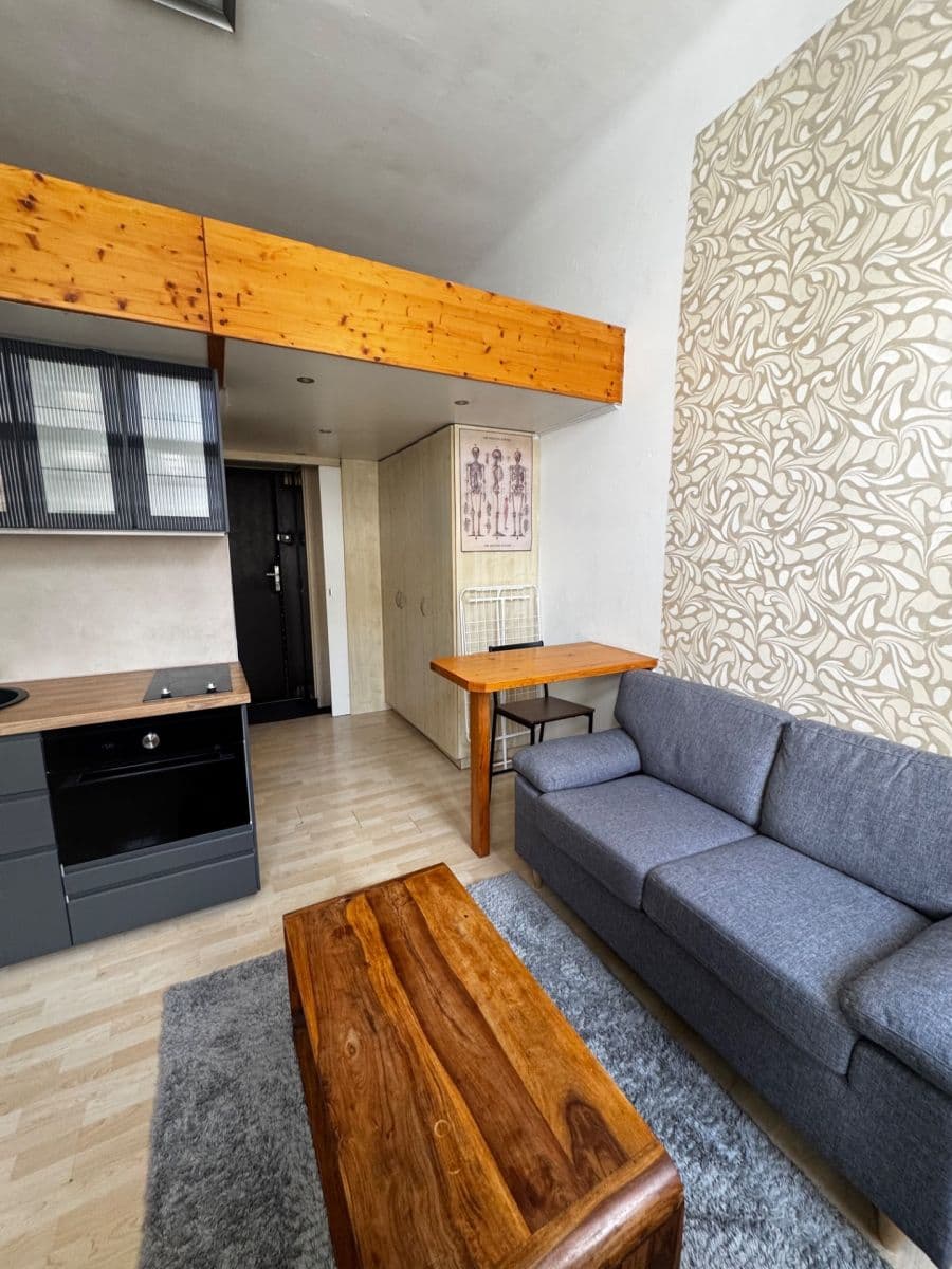 Prenájom bytu 1-izbový 19 m², Na Žertvách, Praha, Praha Prenájom bytu 1-izbový 19 m², Na Žertvách, Praha, Praha