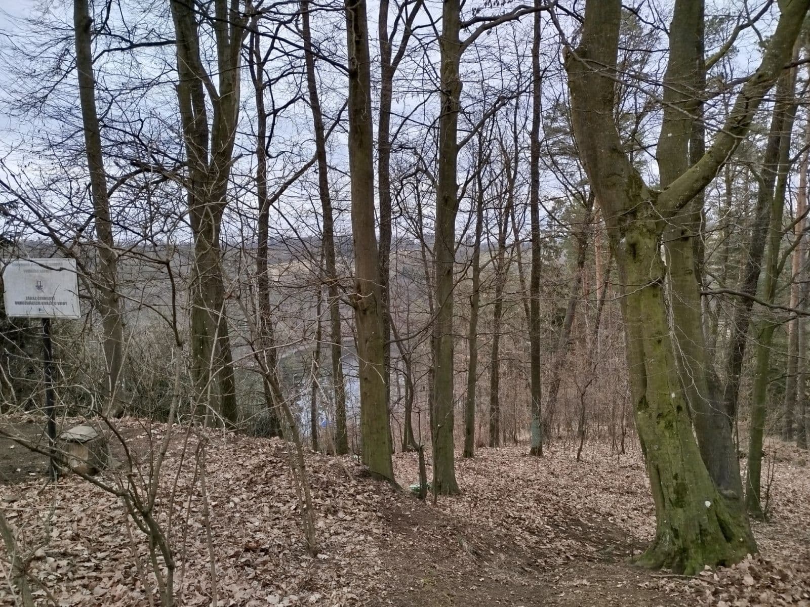 Predaj rekreačného objektu 31 m², pozemok 31 m², Křižanovice, Pardubický kraj Predaj rekreačného objektu 31 m², pozemok 31 m², Křižanovice, Pardubický kraj