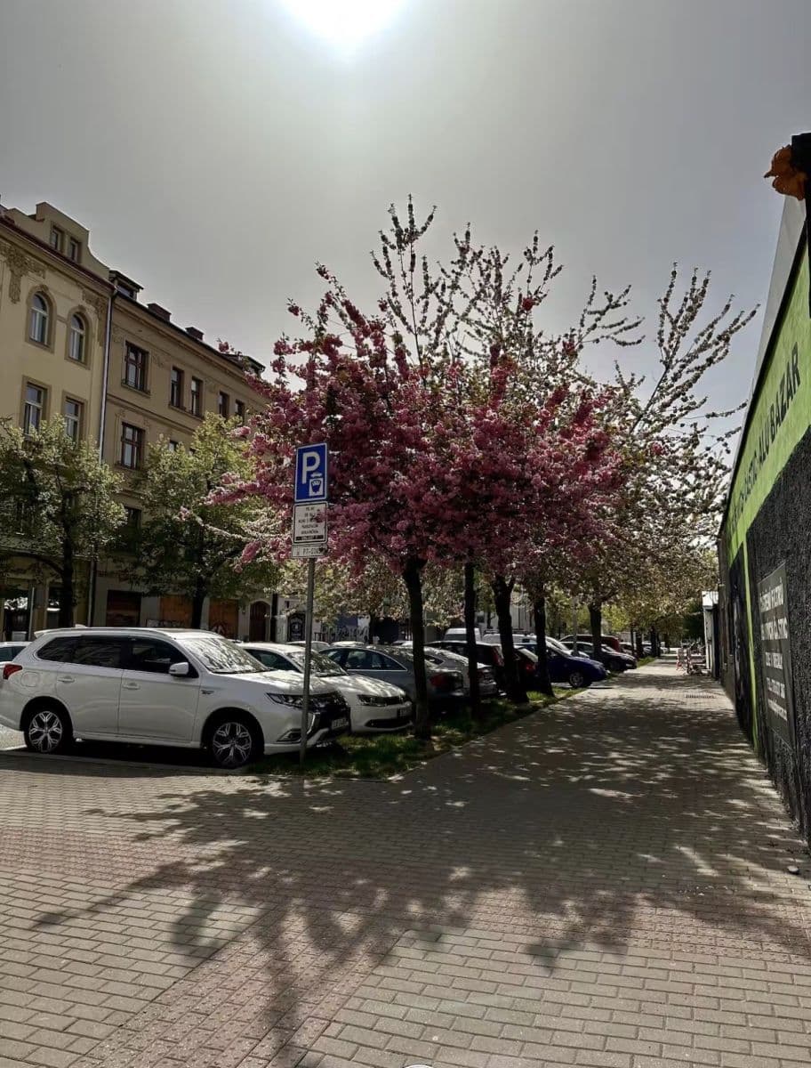 Prenájom bytu 26 m², Na Maninách, Praha, Praha Prenájom bytu 26 m², Na Maninách, Praha, Praha