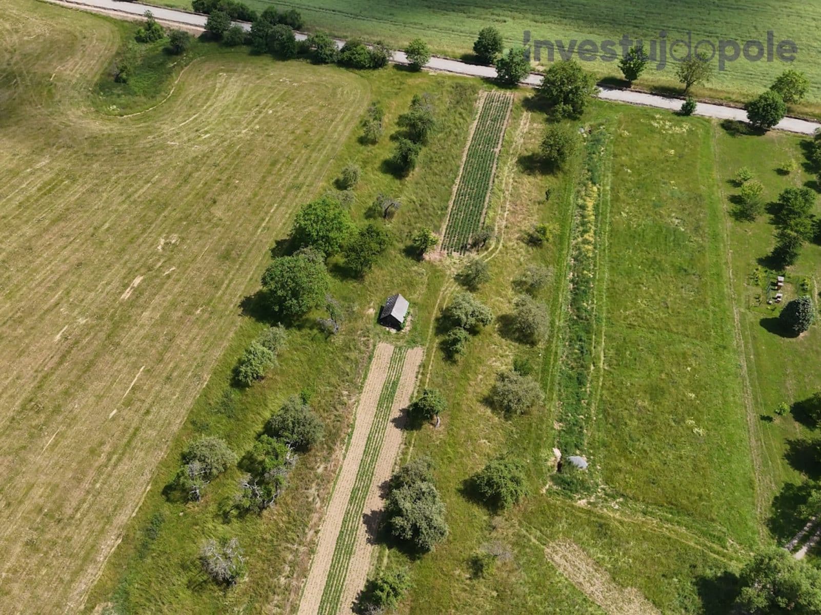 Predaj pozemku 4.404 m², Konice, Olomoucký kraj Predaj pozemku 4.404 m², Konice, Olomoucký kraj