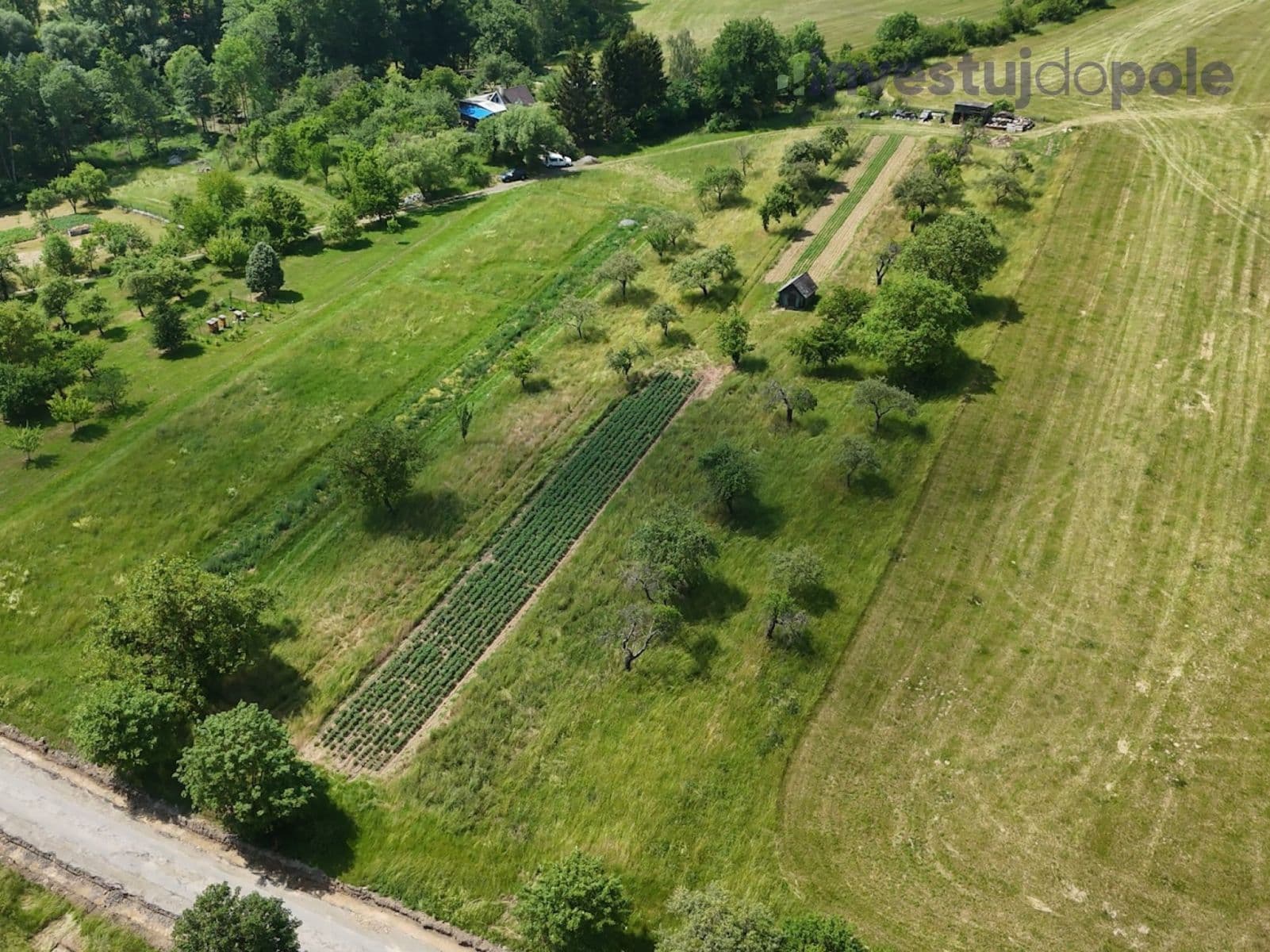 Predaj pozemku 4.404 m², Konice, Olomoucký kraj Predaj pozemku 4.404 m², Konice, Olomoucký kraj