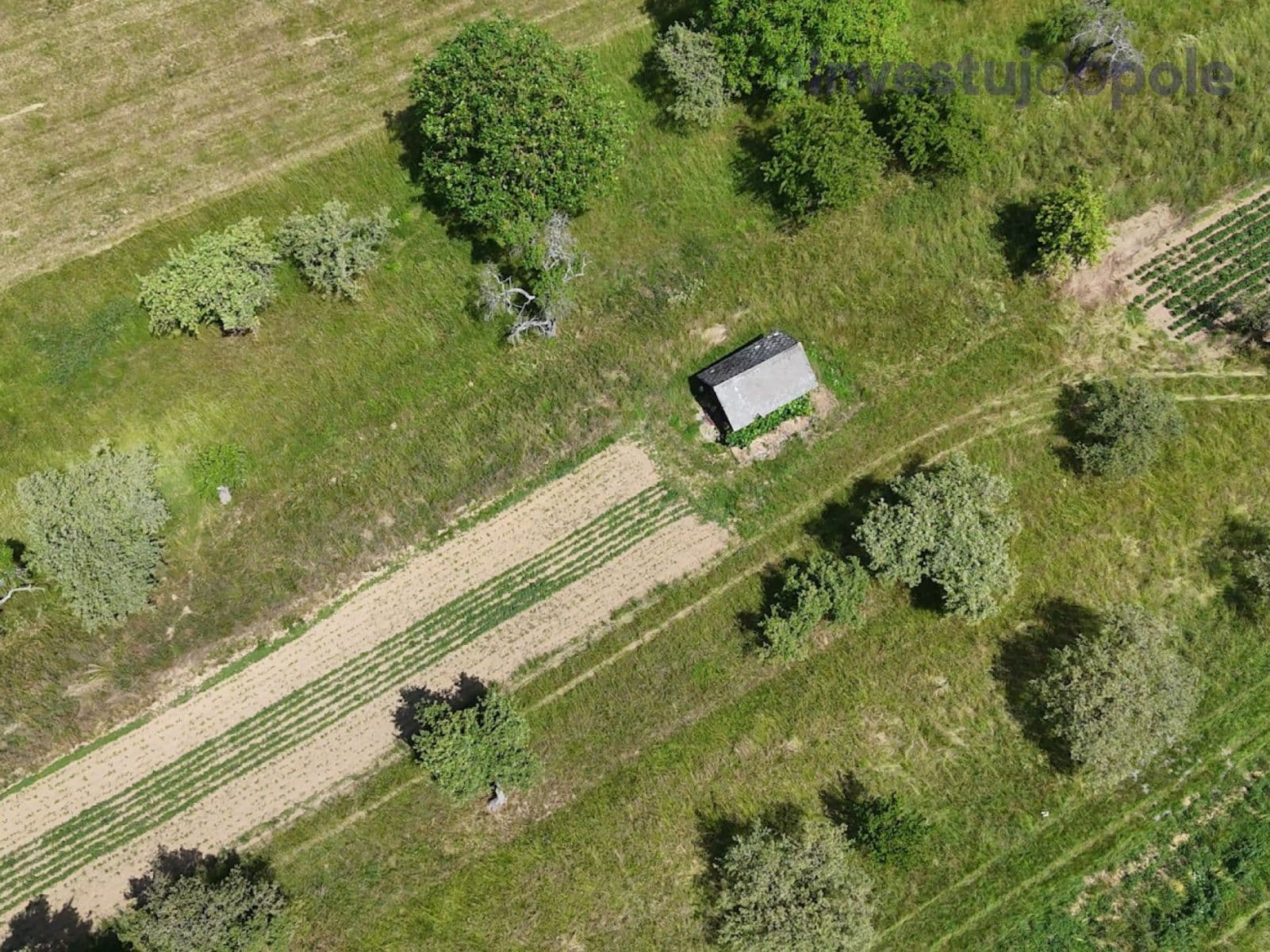 Predaj pozemku 4.404 m², Konice, Olomoucký kraj Predaj pozemku 4.404 m², Konice, Olomoucký kraj