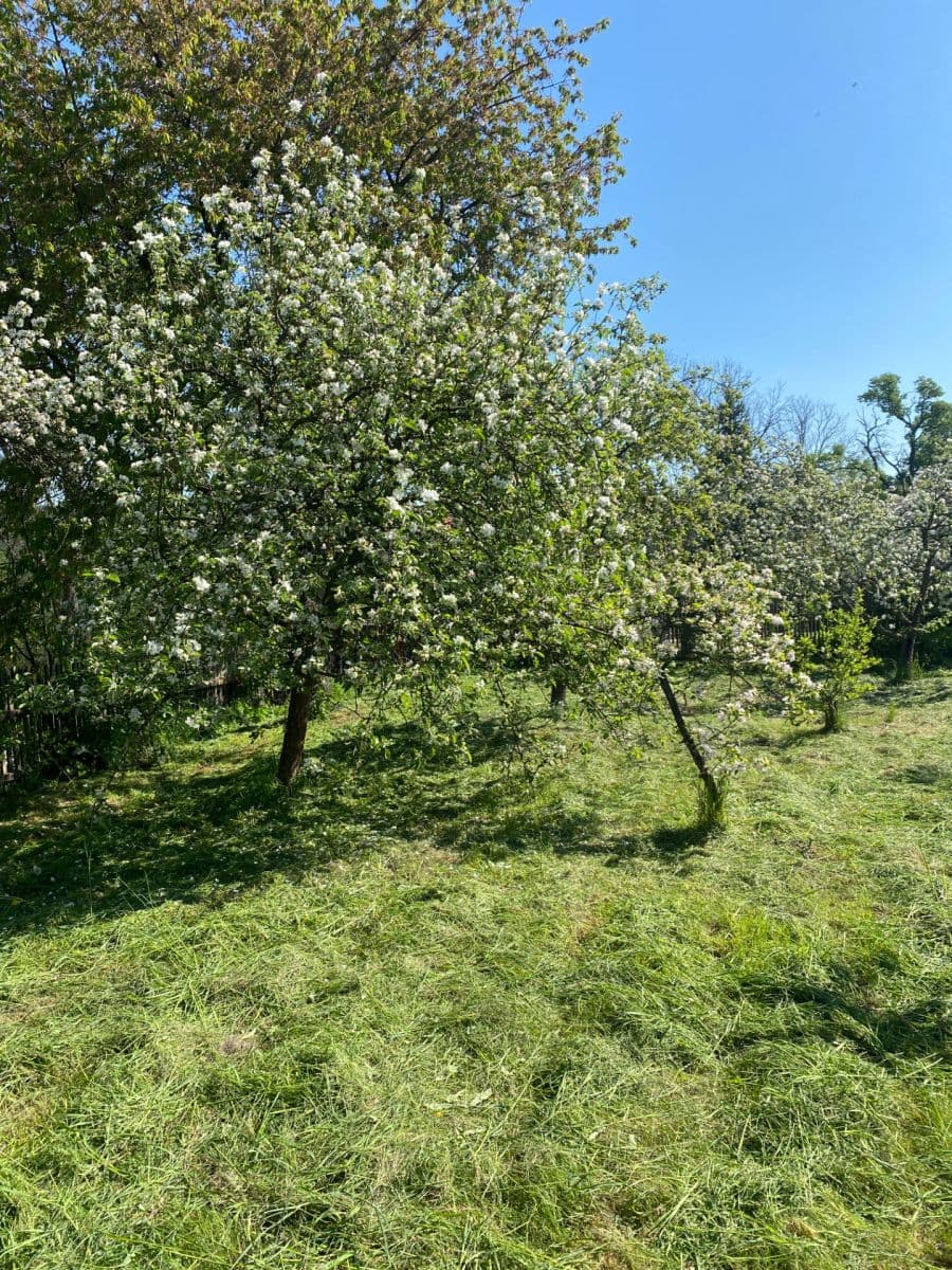 Predaj domu 125 m², pozemek 1.547 m², 272, Bělá pod Bezdězem, Středočeský kraj Predaj domu 125 m², pozemek 1.547 m², 272, Bělá pod Bezdězem, Středočeský kraj