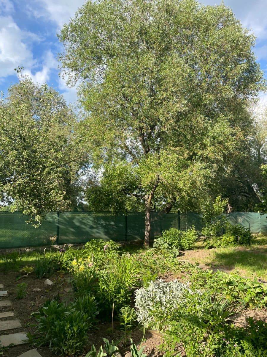 Predaj pozemku 600 m², Louny, Ústecký kraj Predaj pozemku 600 m², Louny, Ústecký kraj