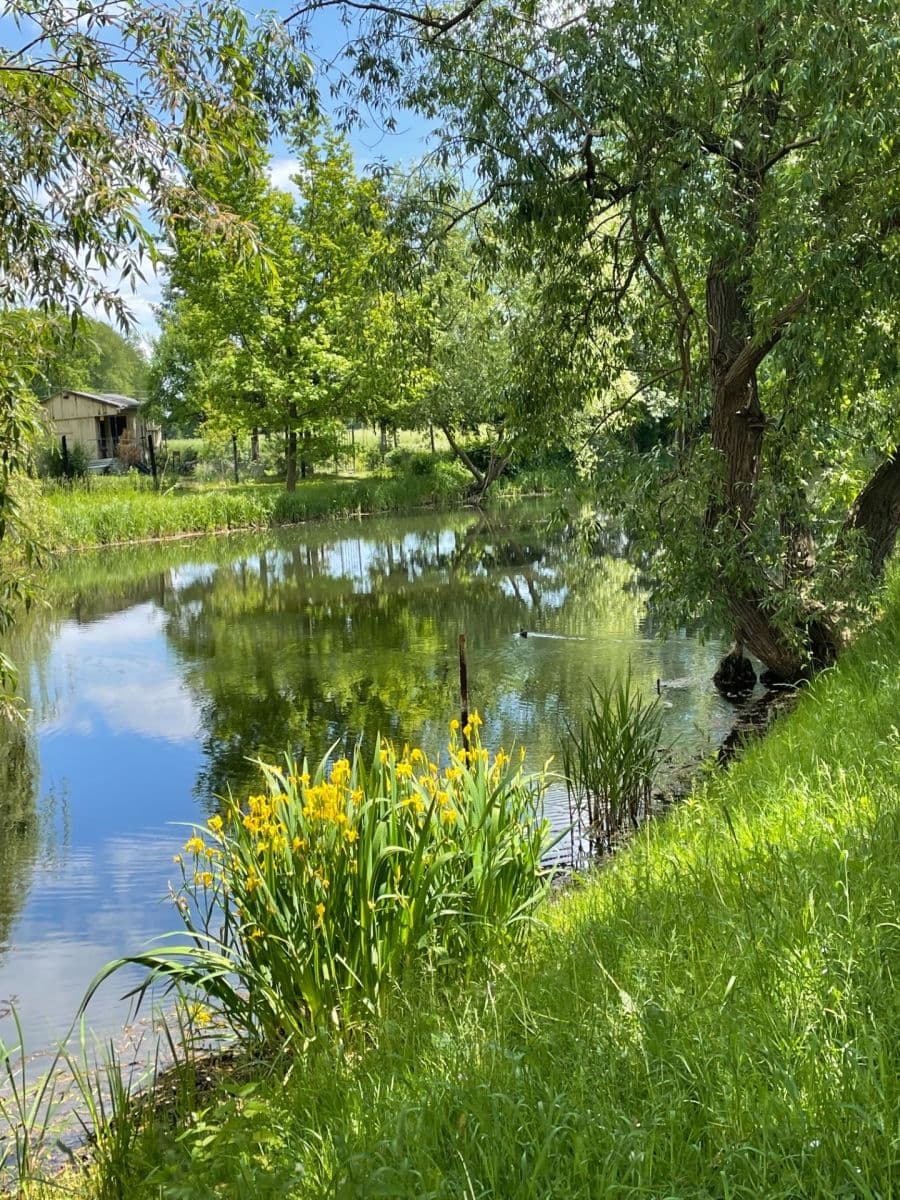 Predaj pozemku 600 m², Louny, Ústecký kraj Predaj pozemku 600 m², Louny, Ústecký kraj