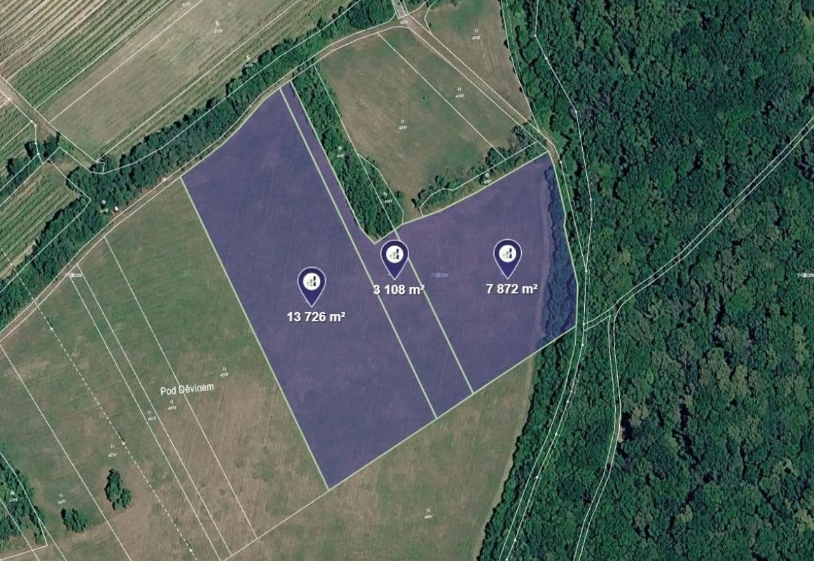 Predaj pozemku 24.706 m², Horní Věstonice, Jihomoravský kraj Predaj pozemku 24.706 m², Horní Věstonice, Jihomoravský kraj