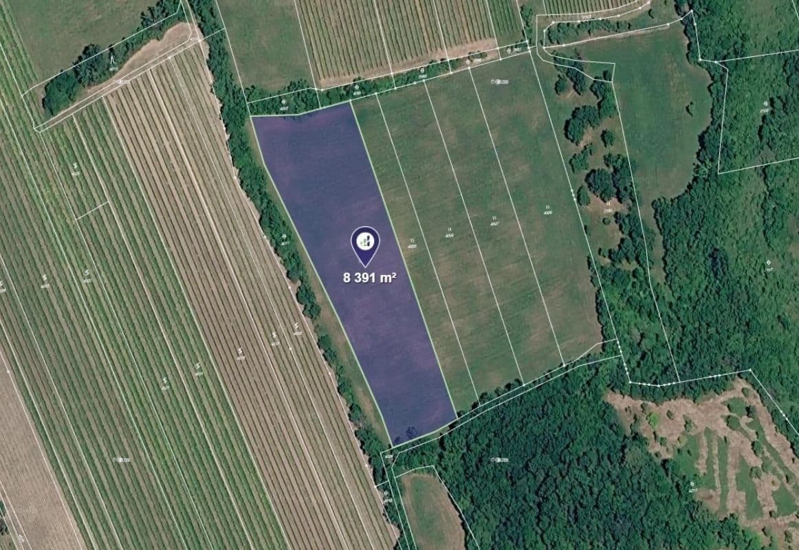 Predaj pozemku 8.391 m², Horní Věstonice, Jihomoravský kraj Predaj pozemku 8.391 m², Horní Věstonice, Jihomoravský kraj