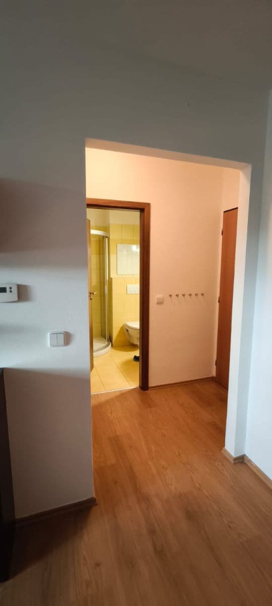 Prenájom bytu 2-izbový 39 m², Kpt. Jaroše, Tábor, Jihočeský kraj Prenájom bytu 2-izbový 39 m², Kpt. Jaroše, Tábor, Jihočeský kraj