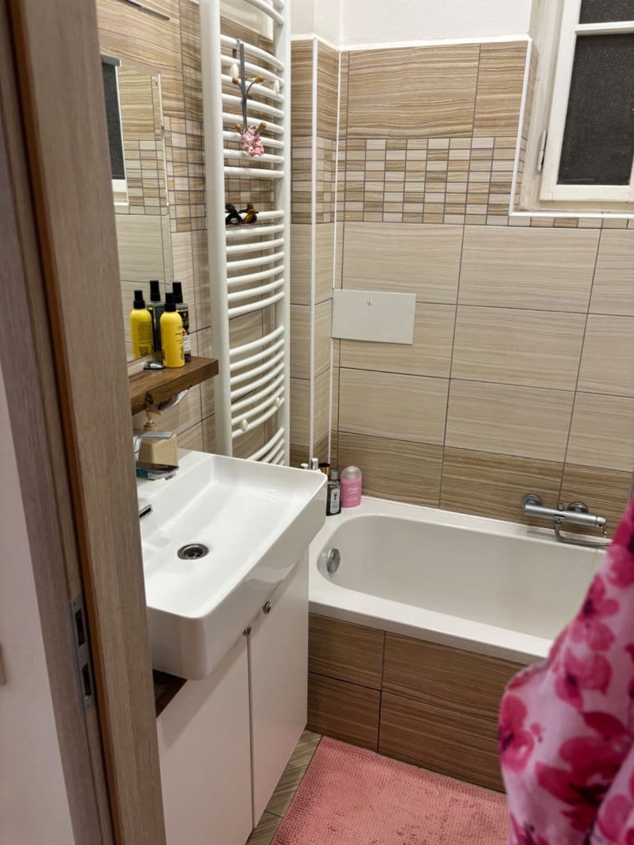 Prenájom bytu 1-izbový 30 m², Žitomírská, Praha, Praha Prenájom bytu 1-izbový 30 m², Žitomírská, Praha, Praha