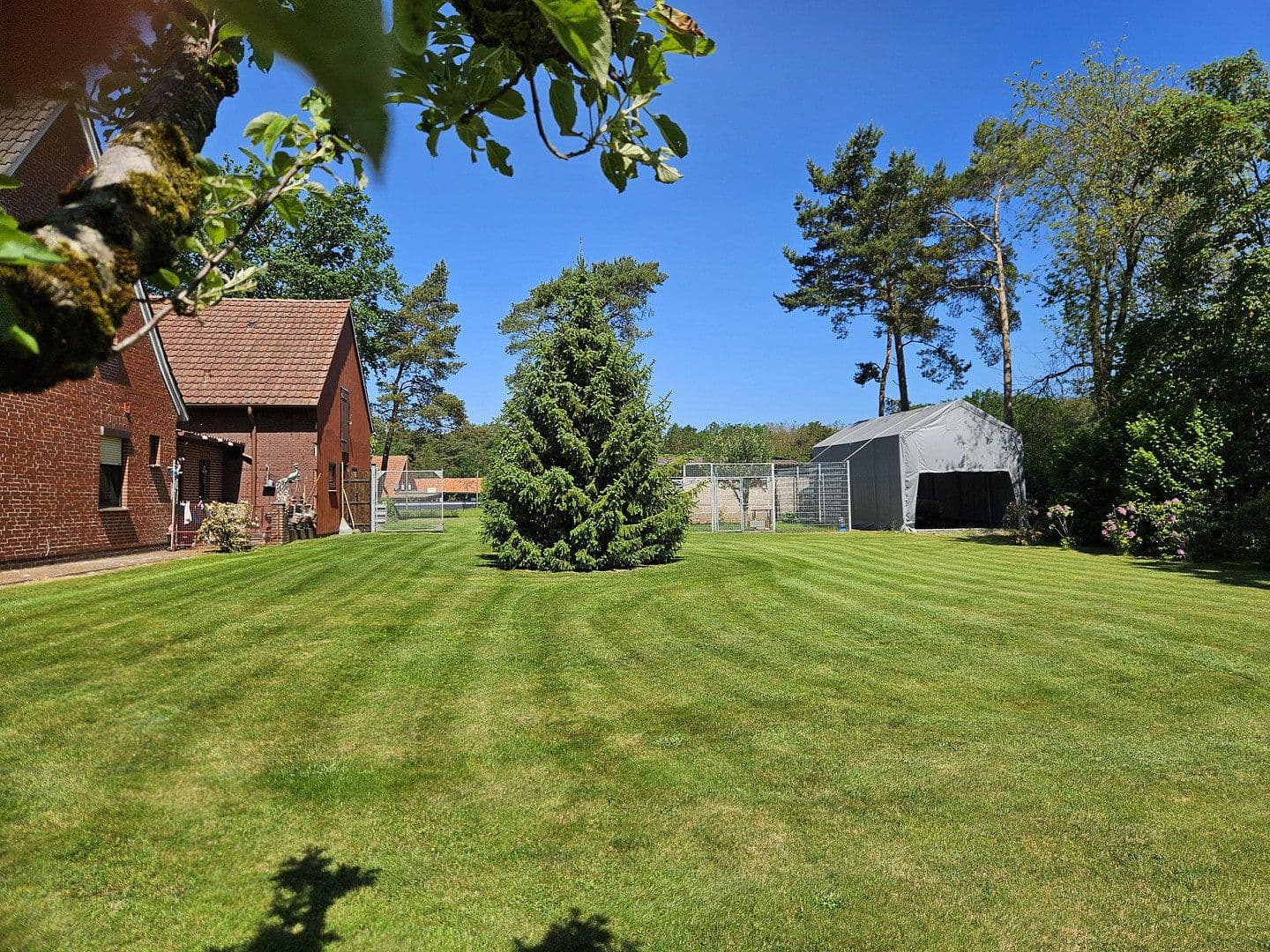 Predaj domu 243 m², pozemek 3.556 m², Barver, Dolné Sasko Predaj domu 243 m², pozemek 3.556 m², Barver, Dolné Sasko