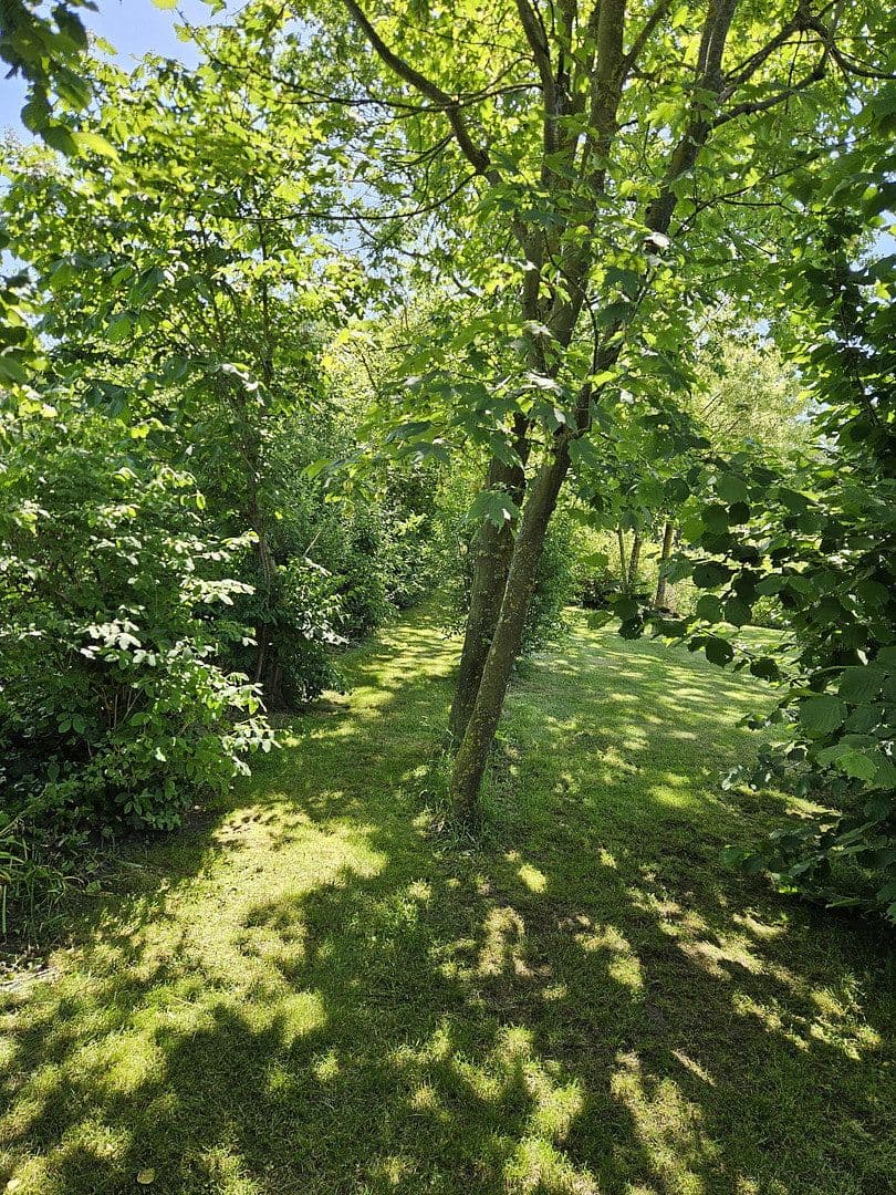 Predaj domu 243 m², pozemek 3.556 m², Barver, Dolné Sasko Predaj domu 243 m², pozemek 3.556 m², Barver, Dolné Sasko