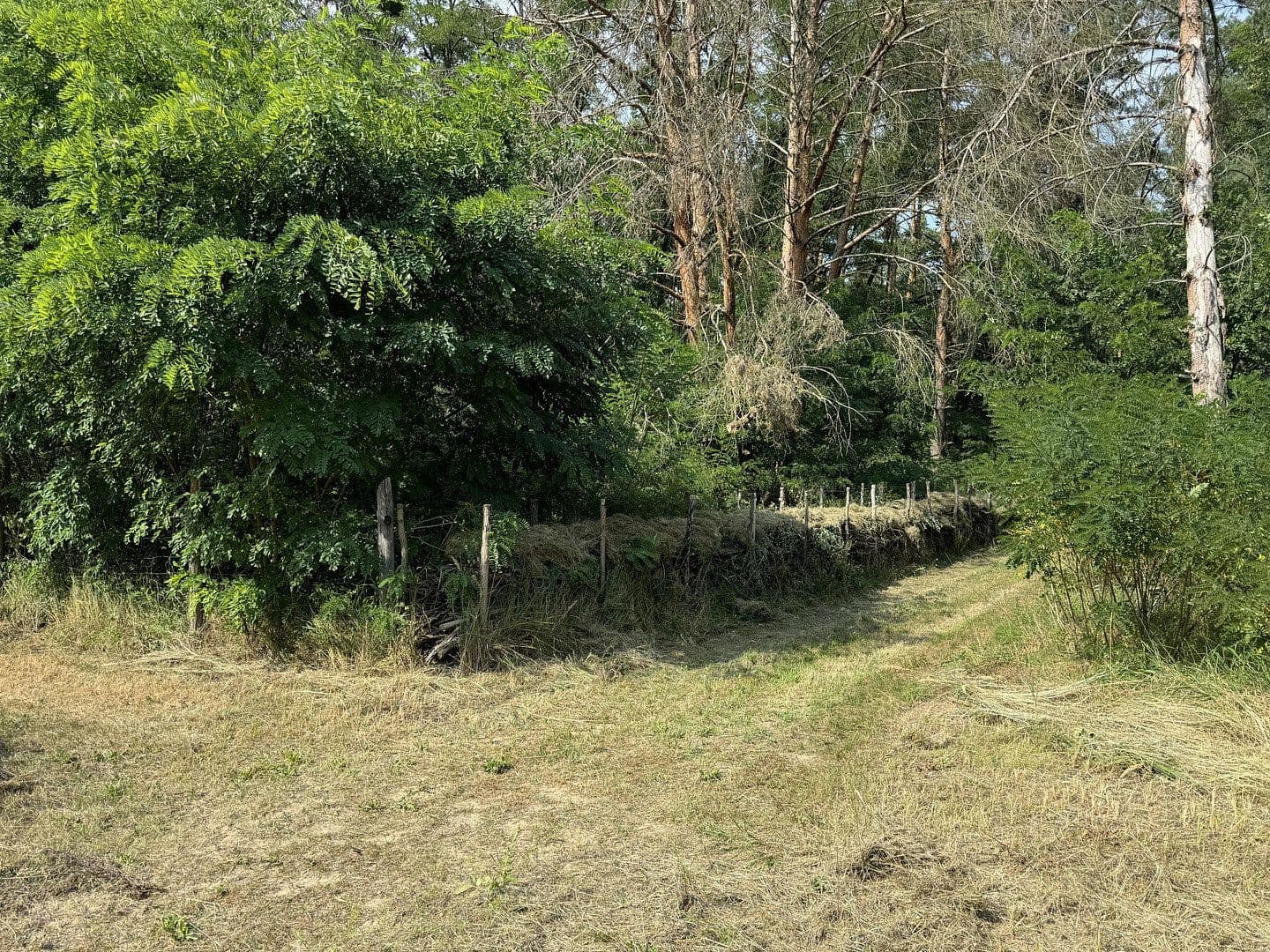 Predaj nebytového priestoru 5.404 m², Zur Alten Landebahn 8, Neuhardenberg, Brandenbursko Predaj nebytového priestoru 5.404 m², Zur Alten Landebahn 8, Neuhardenberg, Brandenbursko