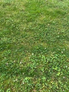 Predaj domu 440 m², pozemek 273 m², Gera, Durínsko Predaj domu 440 m², pozemek 273 m², Gera, Durínsko