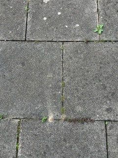 Predaj domu 440 m², pozemek 273 m², Gera, Durínsko Predaj domu 440 m², pozemek 273 m², Gera, Durínsko