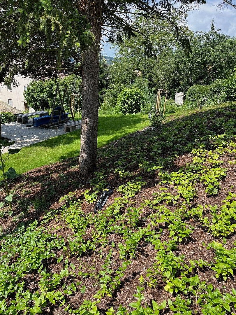 Prenájom bytu 3-izbový 79 m², Esslingen am Neckar, Bádensko-Wurttembersko Prenájom bytu 3-izbový 79 m², Esslingen am Neckar, Bádensko-Wurttembersko
