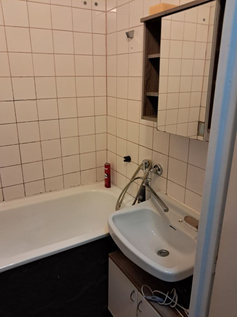 Prenájom bytu 2-izbový 56 m², Vídeňská, Brno, Jihomoravský kraj Prenájom bytu 2-izbový 56 m², Vídeňská, Brno, Jihomoravský kraj